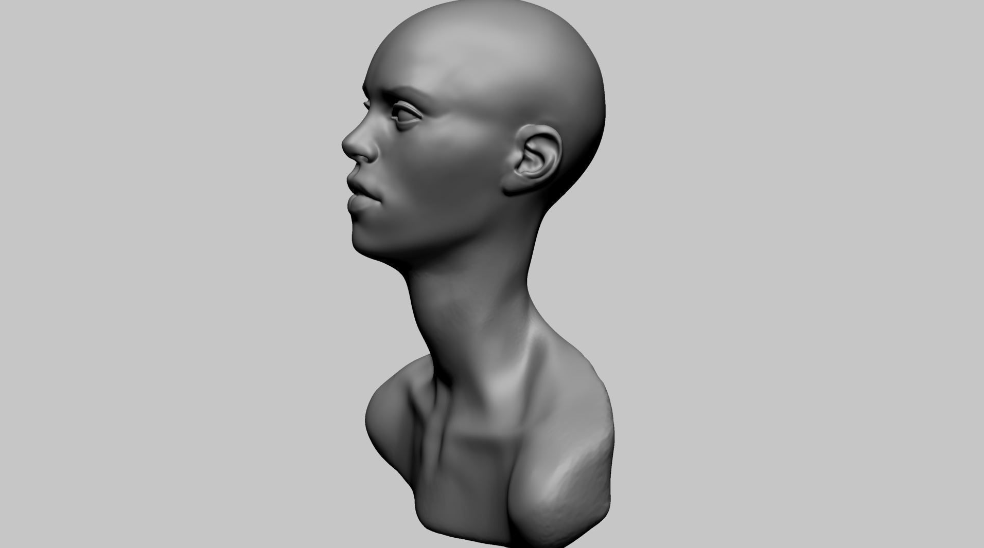 Base Female Head C 3D model_7