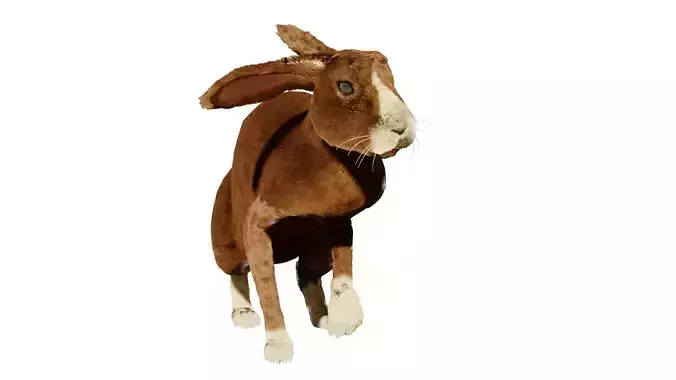 rabbit Low-poly 3D model