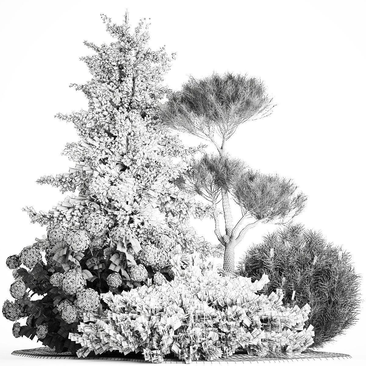 Spruce and pine topiary with hydrangea bushes for the garden  3D model_7