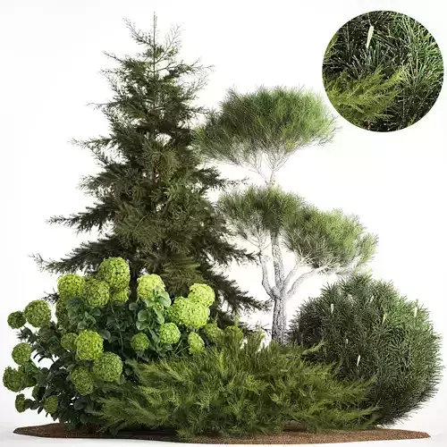 Spruce and pine topiary with hydrangea bushes for the garden  3D model