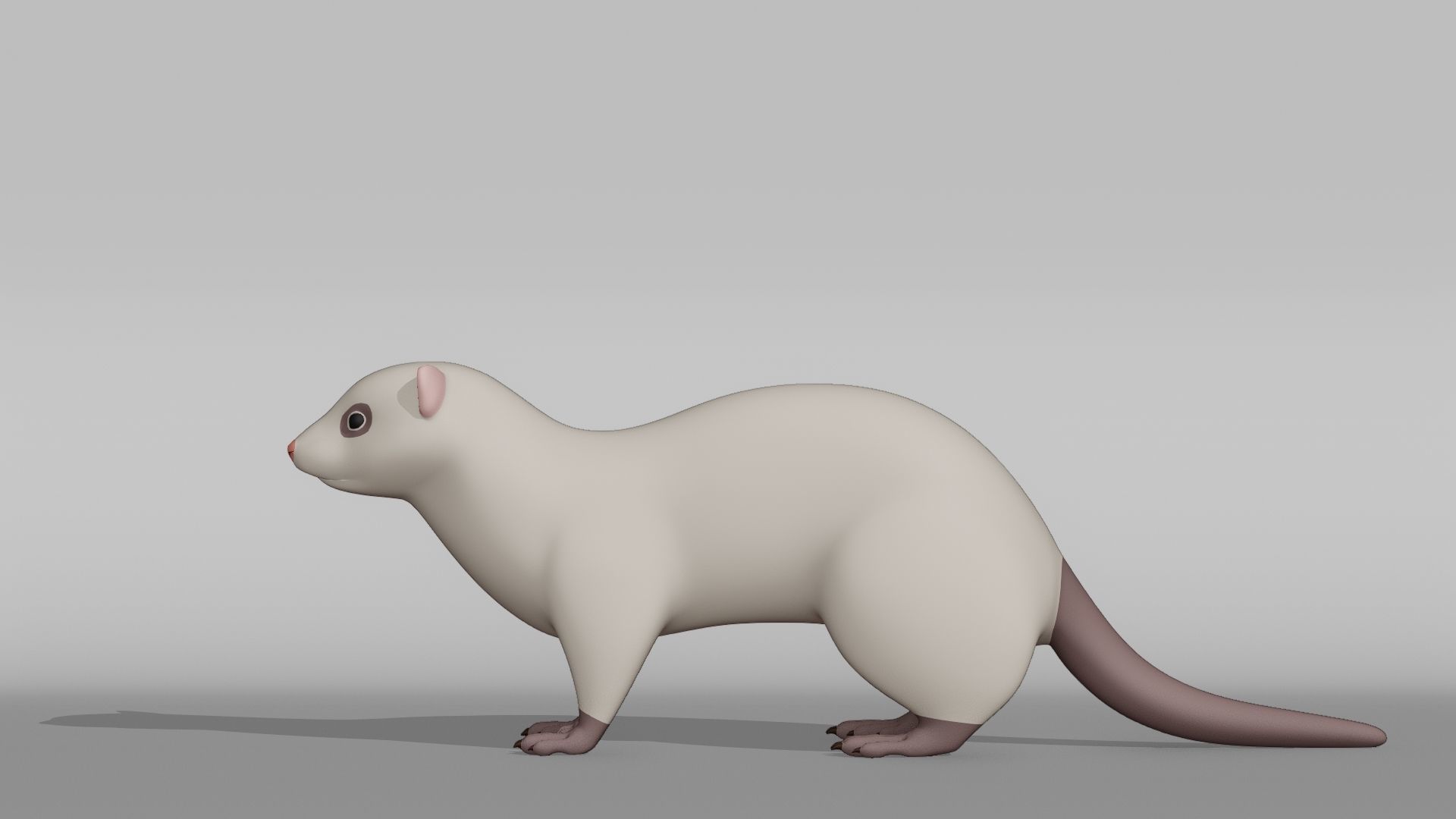 Ferret Base Mesh Low-poly 3D model_10