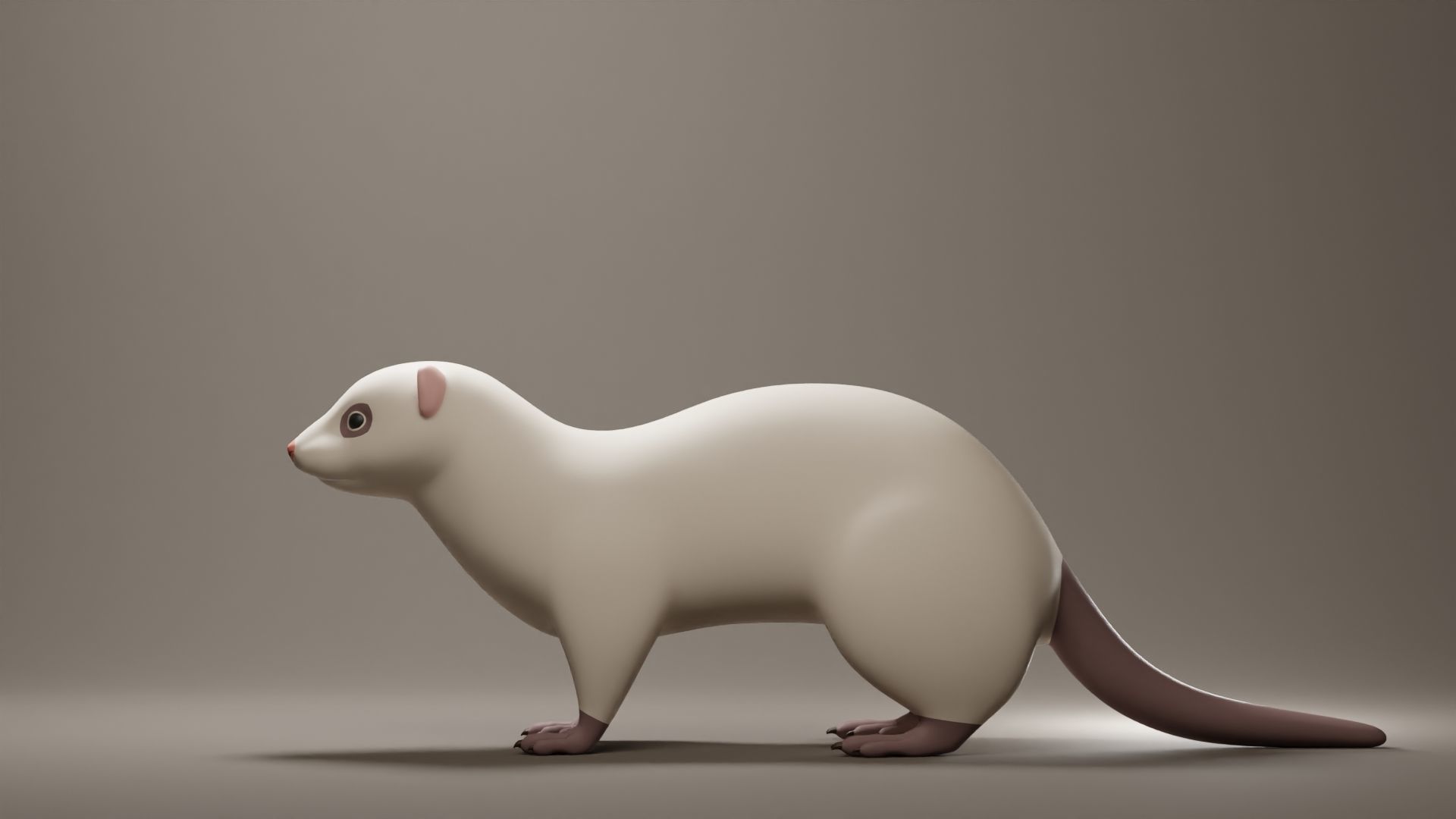 Ferret Base Mesh Low-poly 3D model_5
