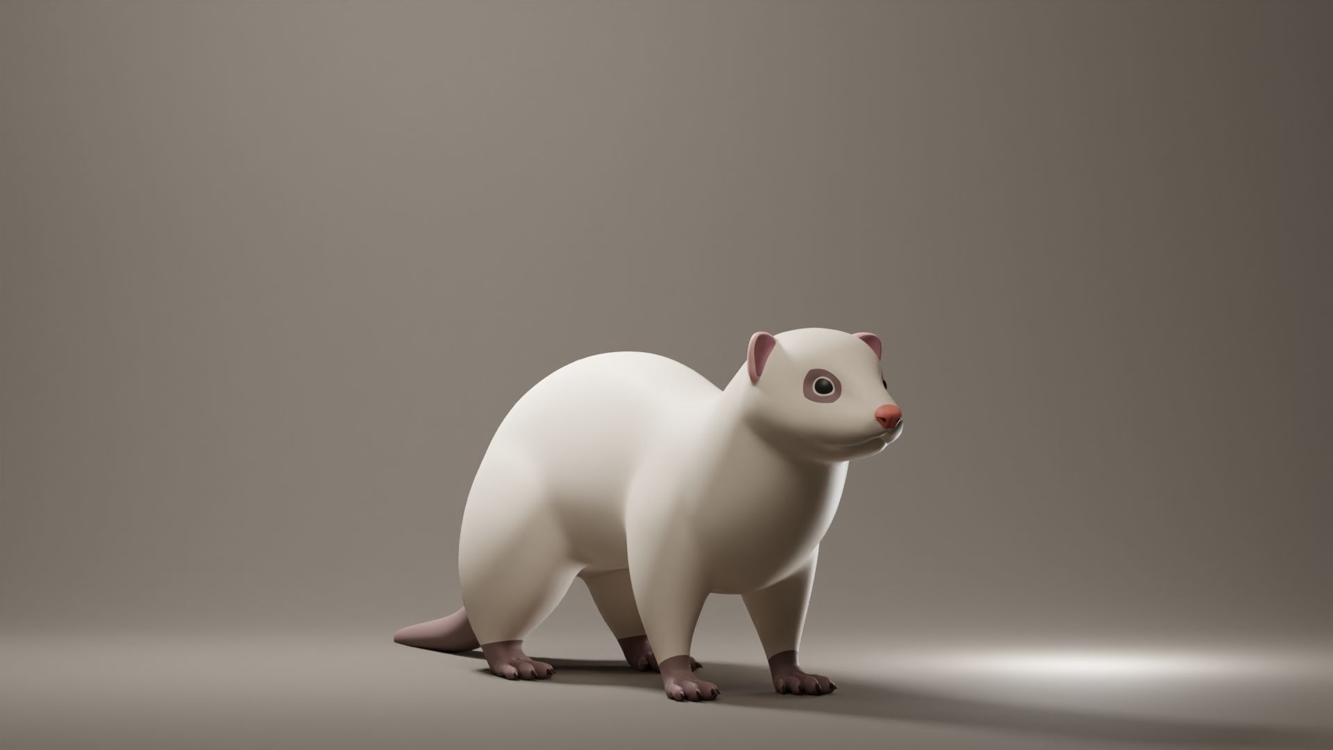 Ferret Base Mesh Low-poly 3D model_1