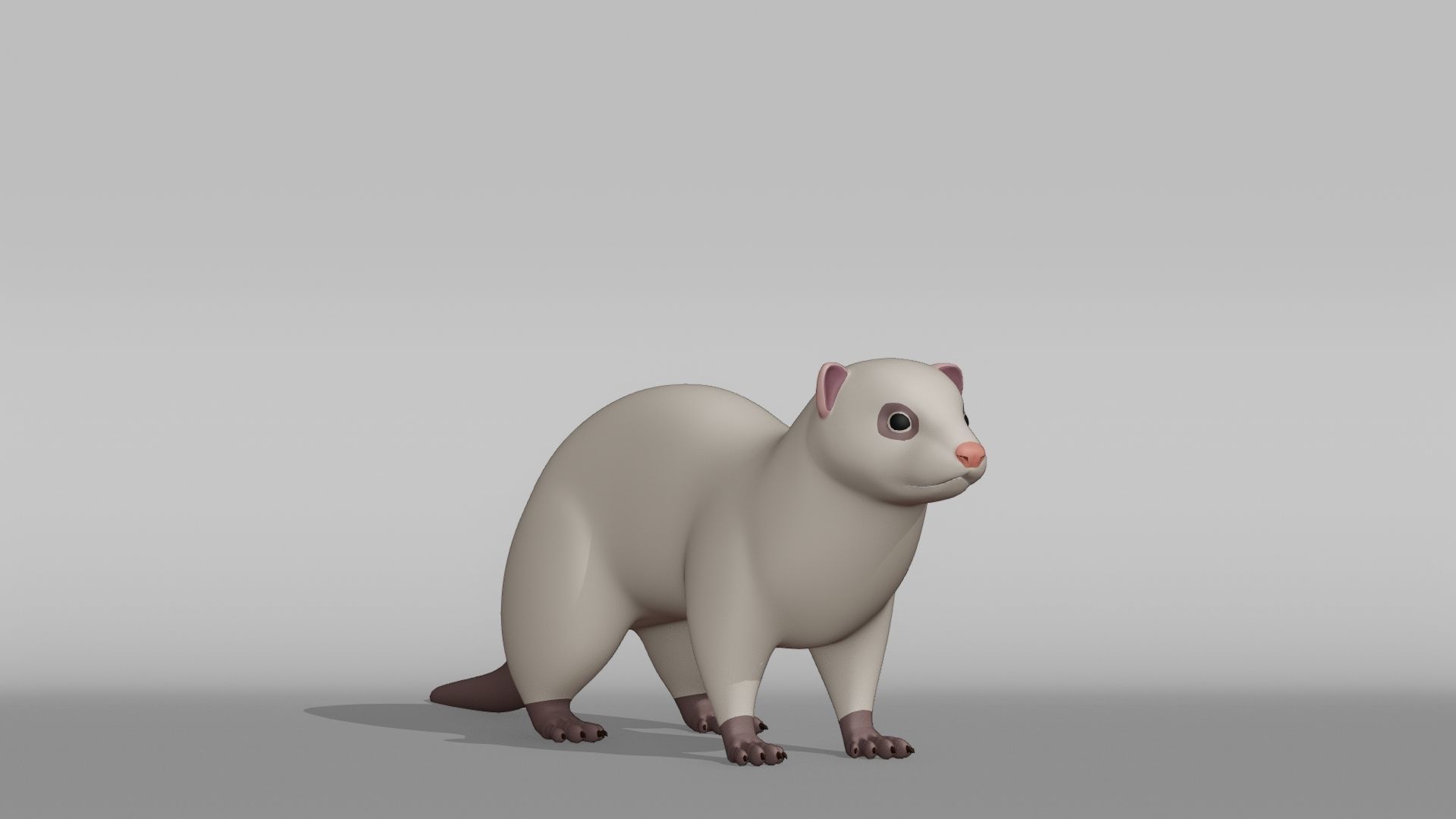 Ferret Base Mesh Low-poly 3D model_6