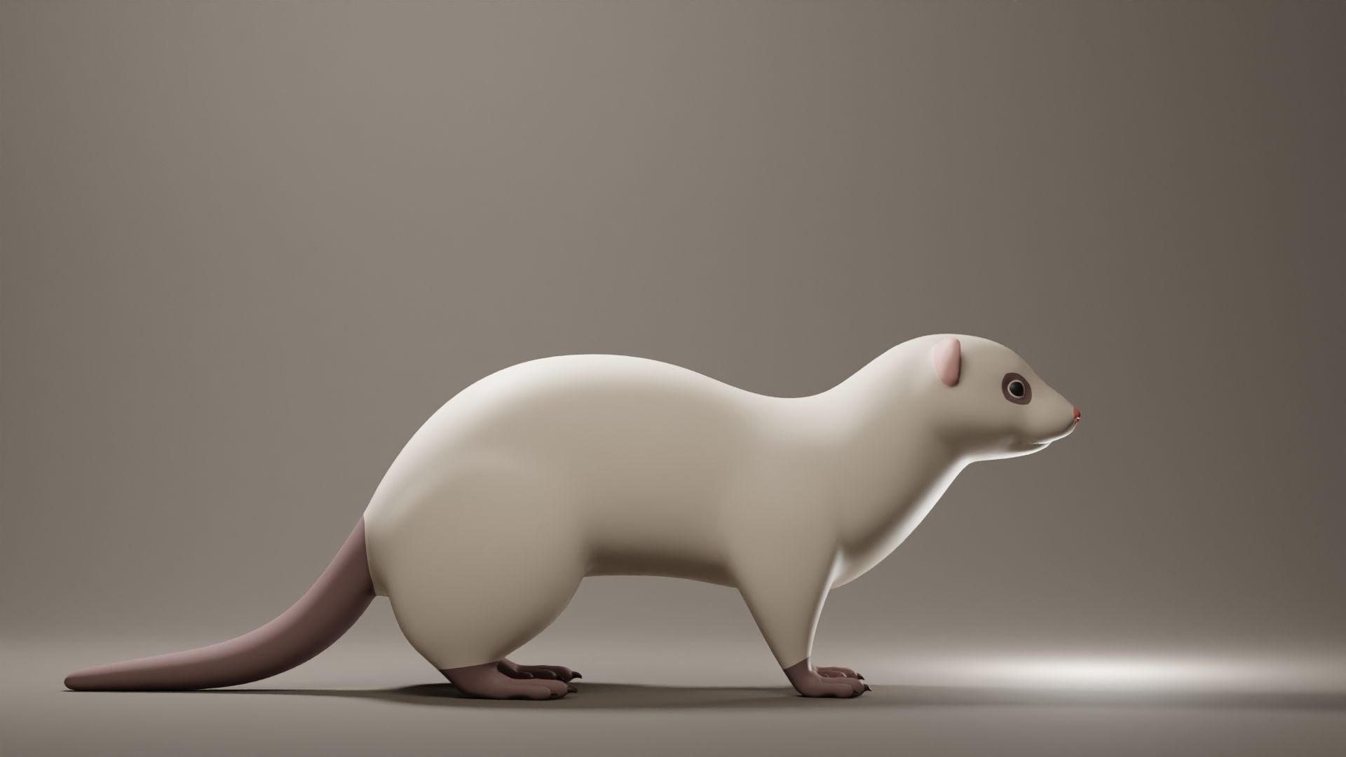 Ferret Base Mesh Low-poly 3D model_3