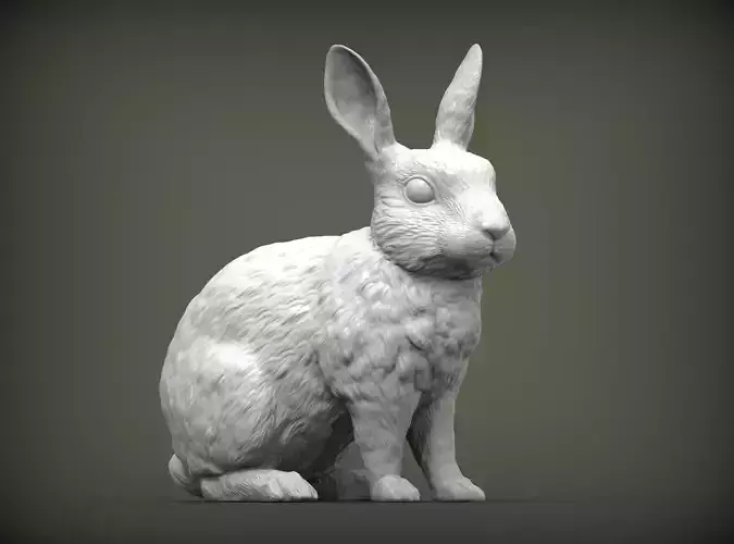 Rabbit rex agouti 3D print model