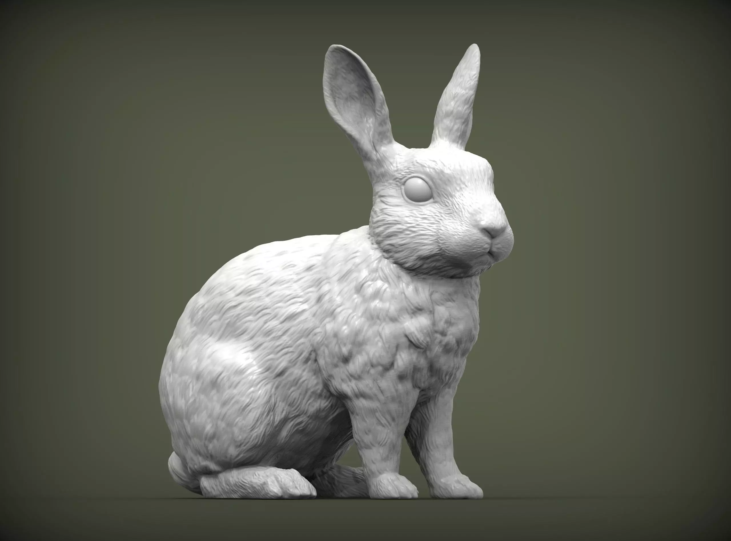 Rabbit rex agouti 3D print model