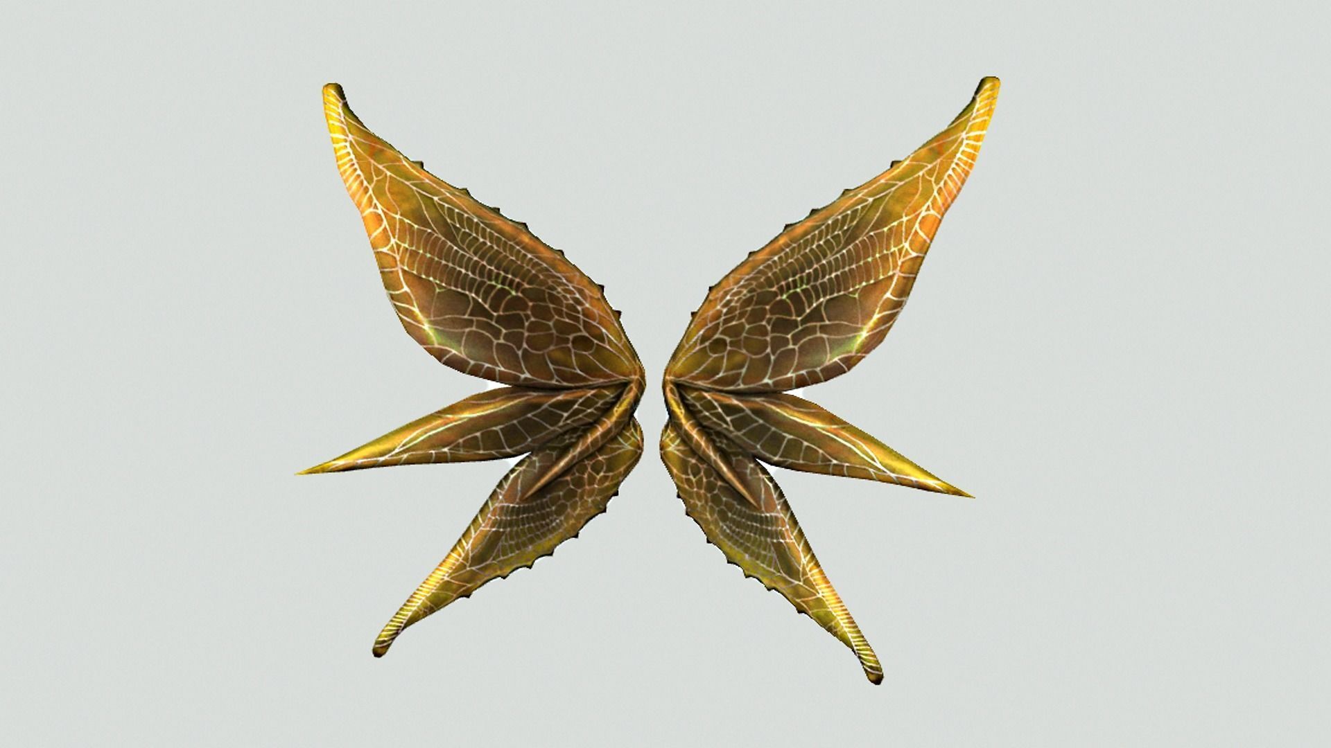 Butterfly Wing Low-poly 3D model_12