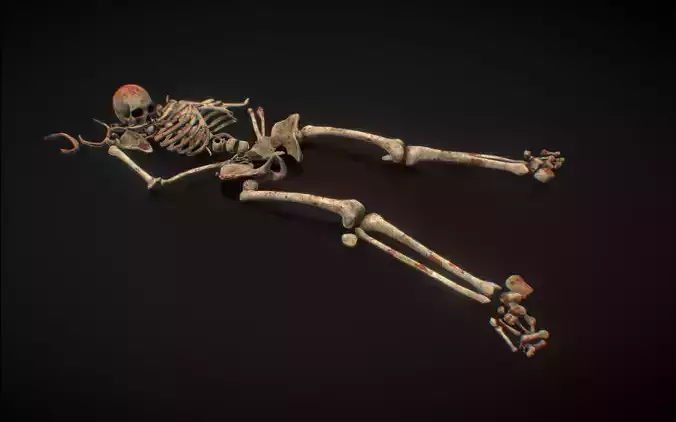 Skull Bones Remains Skeleton Laying corpse Low-poly 3D model