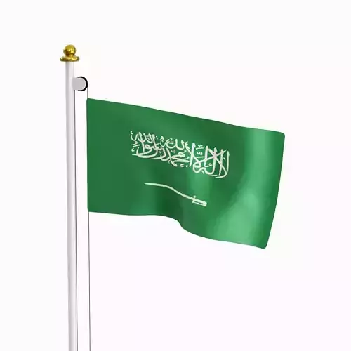 Flag of the Saudi Arabia