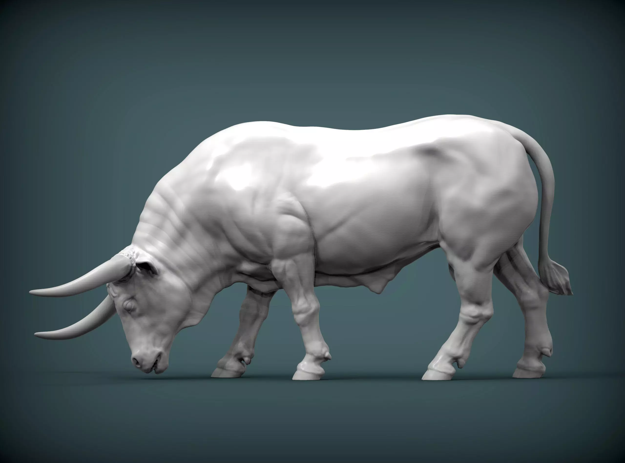 Texas Longhorn 3D print model_0