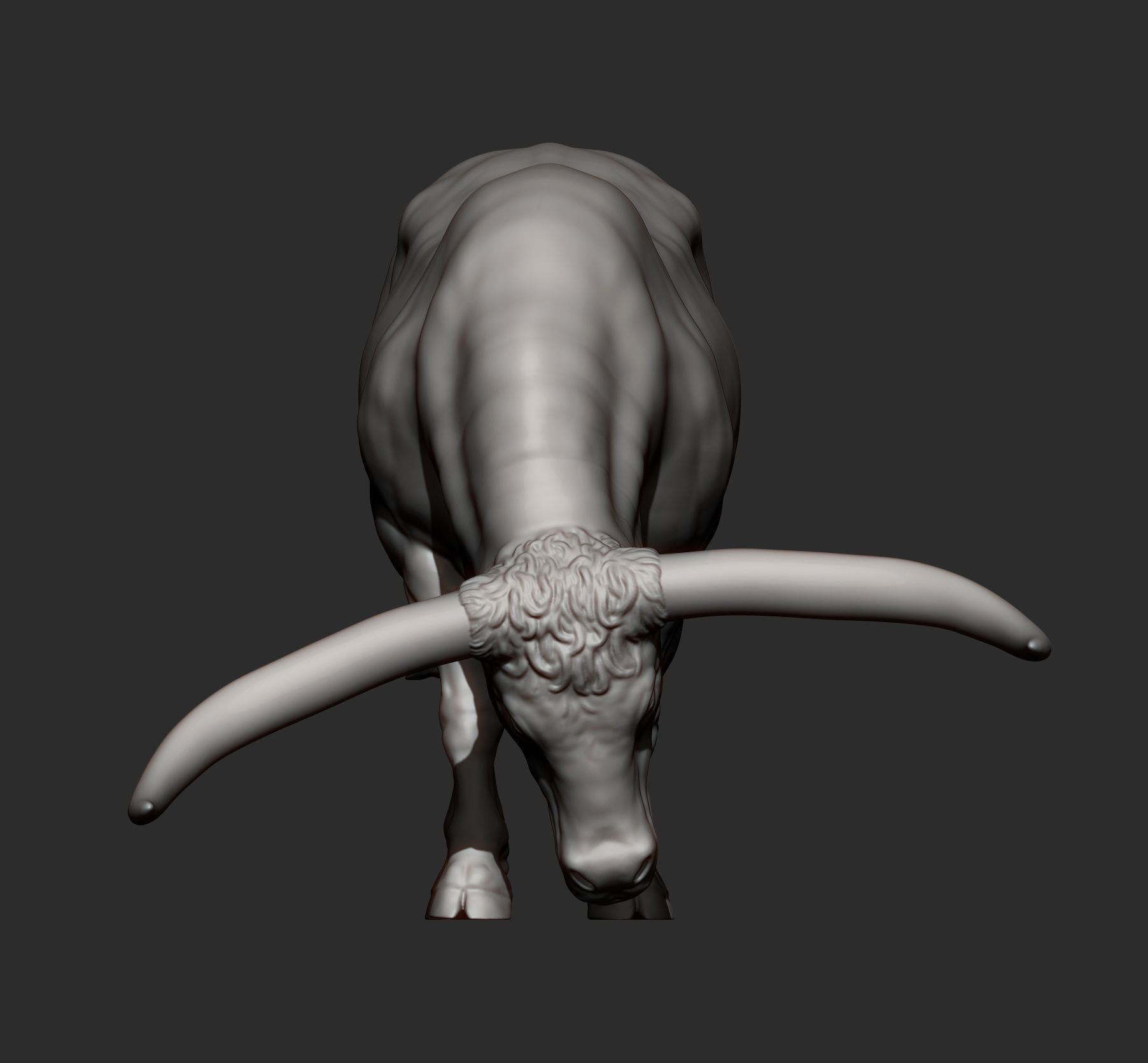 Texas Longhorn 3D print model_9