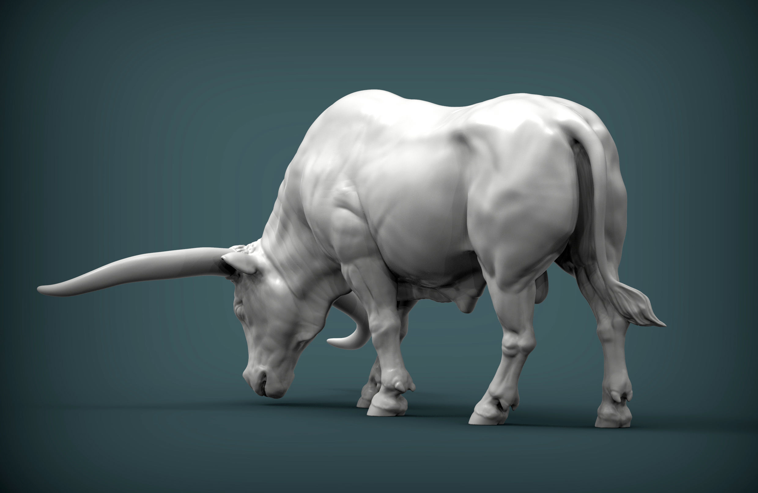 Texas Longhorn 3D print model_5
