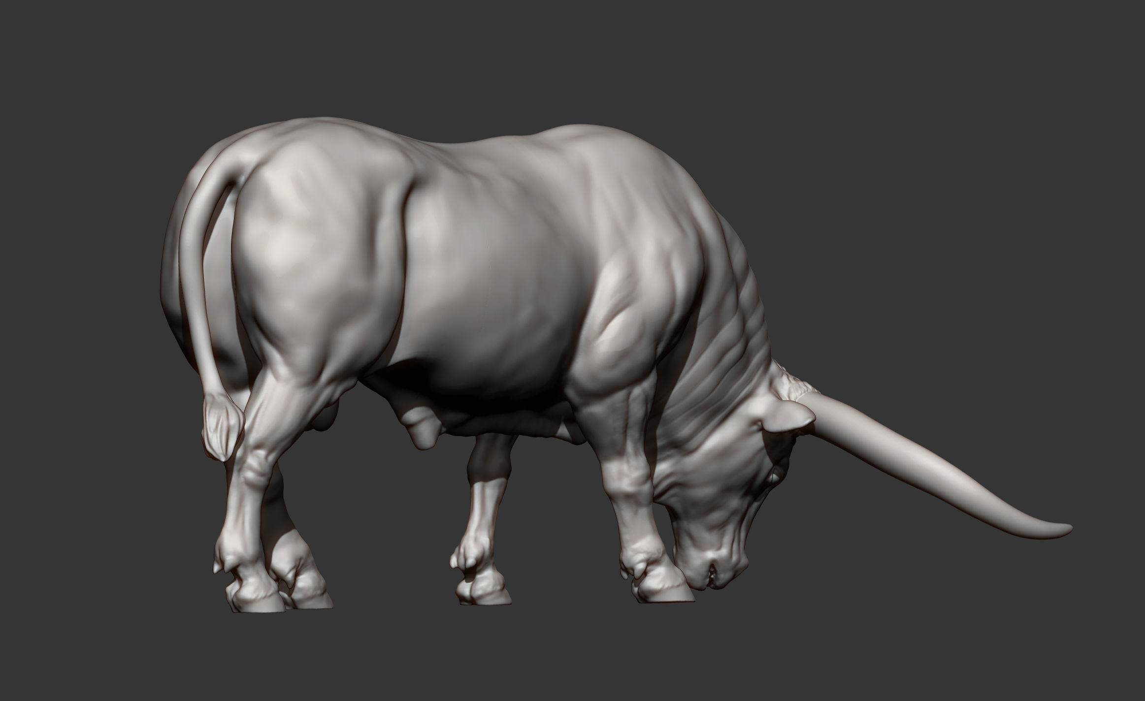Texas Longhorn 3D print model_7