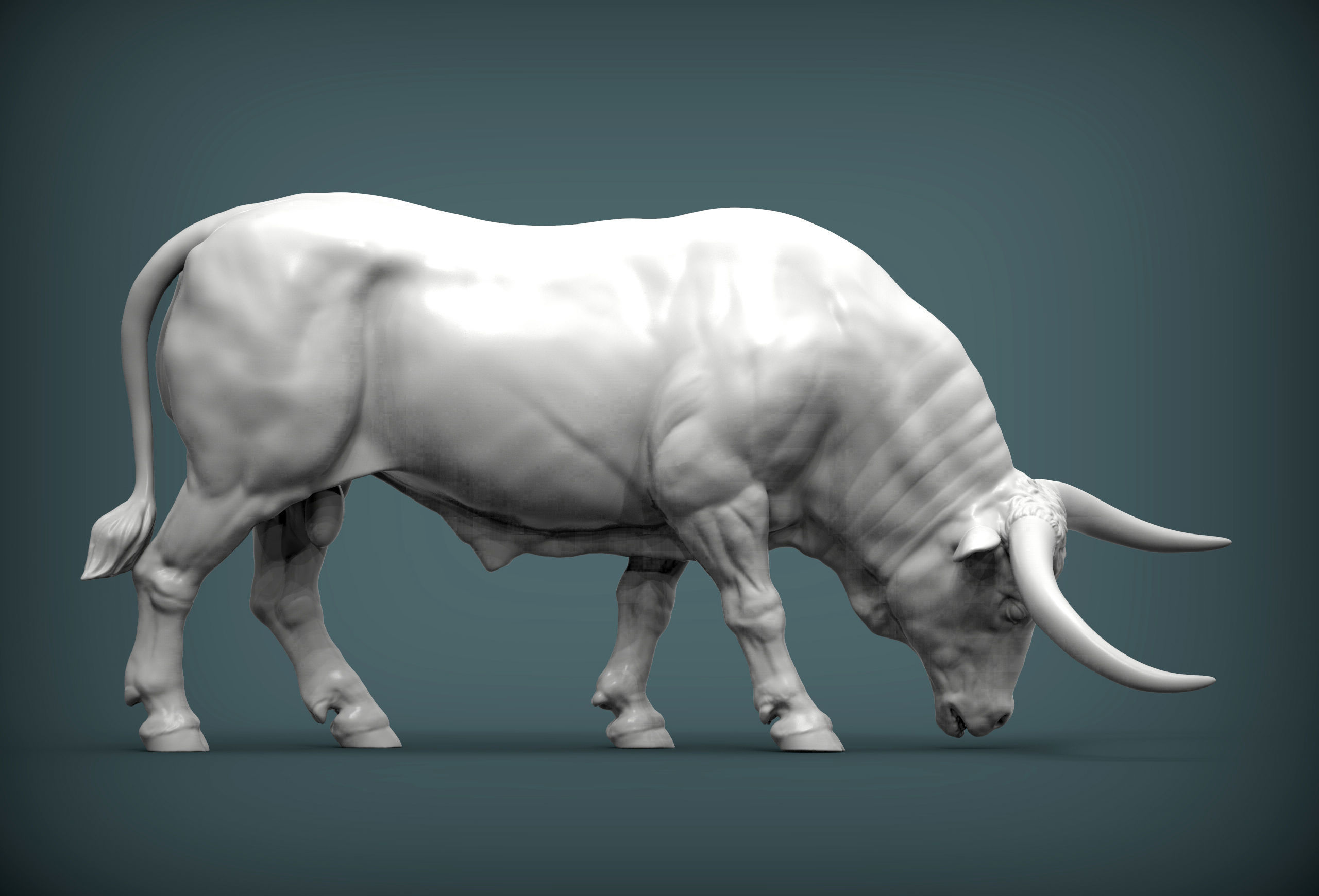 Texas Longhorn 3D print model_3