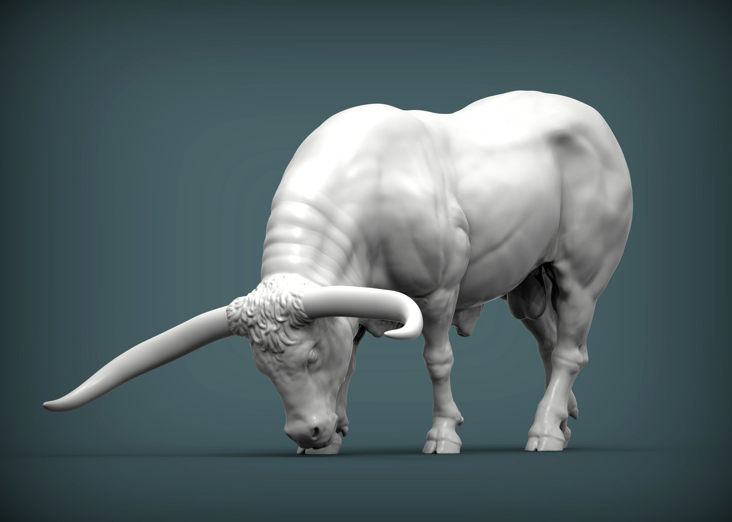 Texas Longhorn 3D print model_1