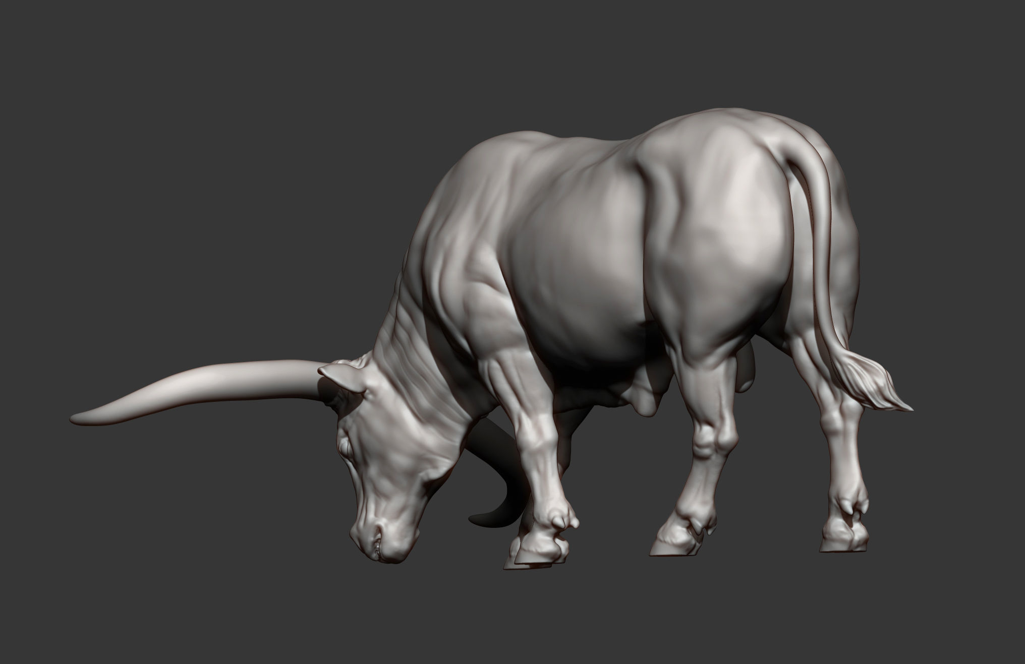 Texas Longhorn 3D print model_8