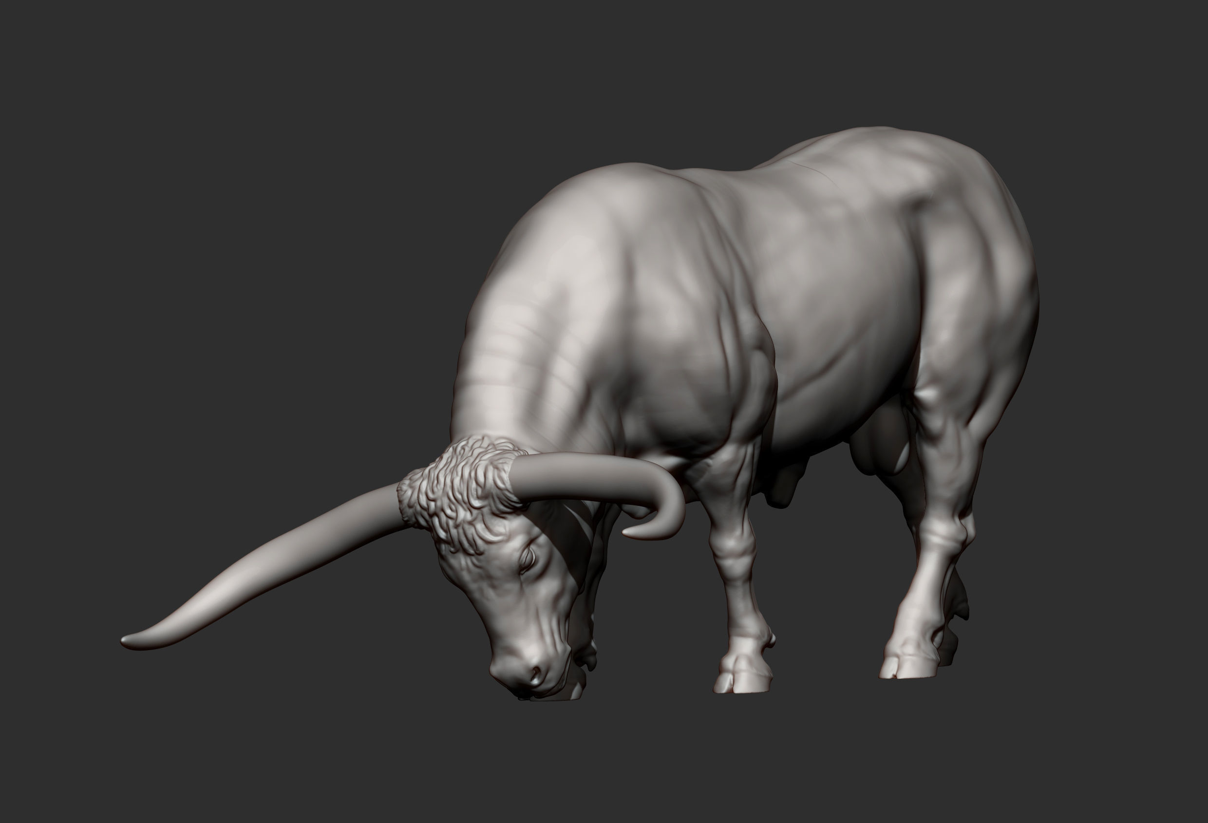 Texas Longhorn 3D print model_10