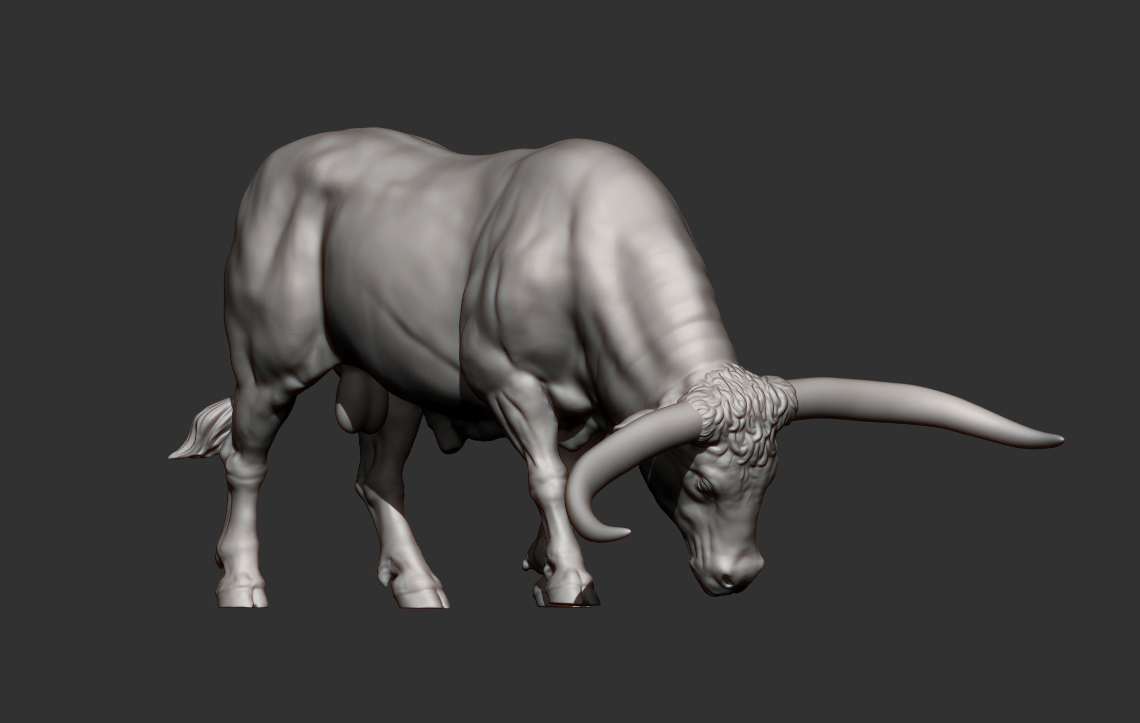 Texas Longhorn 3D print model_6