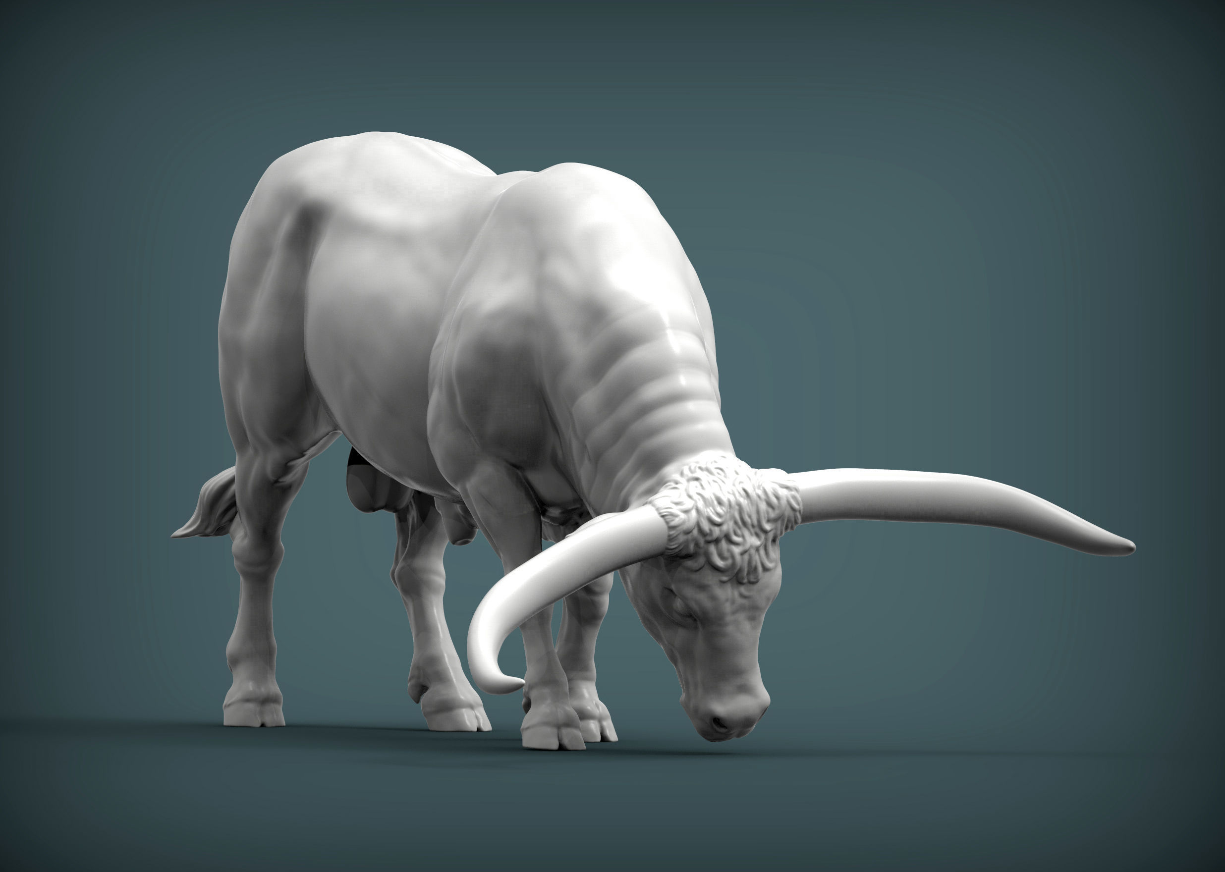 Texas Longhorn 3D print model_2