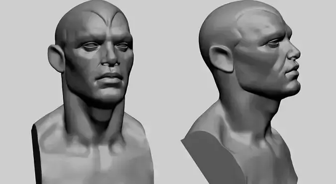 Base Male Head G 3D model