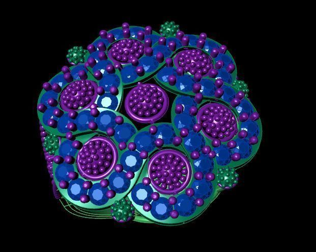 Rings 3D print model_2