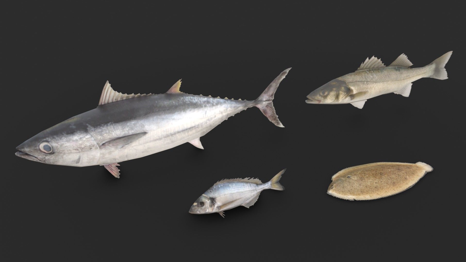 Fishing Plastic Crates Low-poly 3D model_12