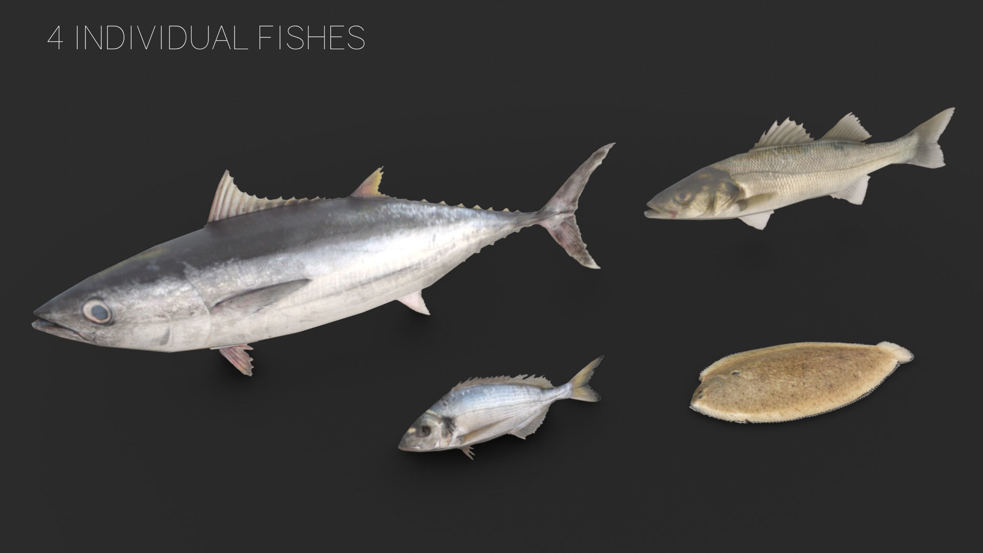 Fishing Plastic Crates Low-poly 3D model_11