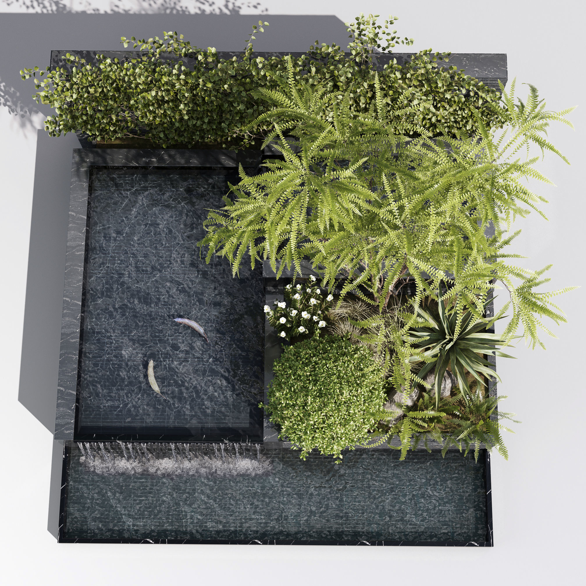 Water Ponds With Plants and Fish 3D model_4