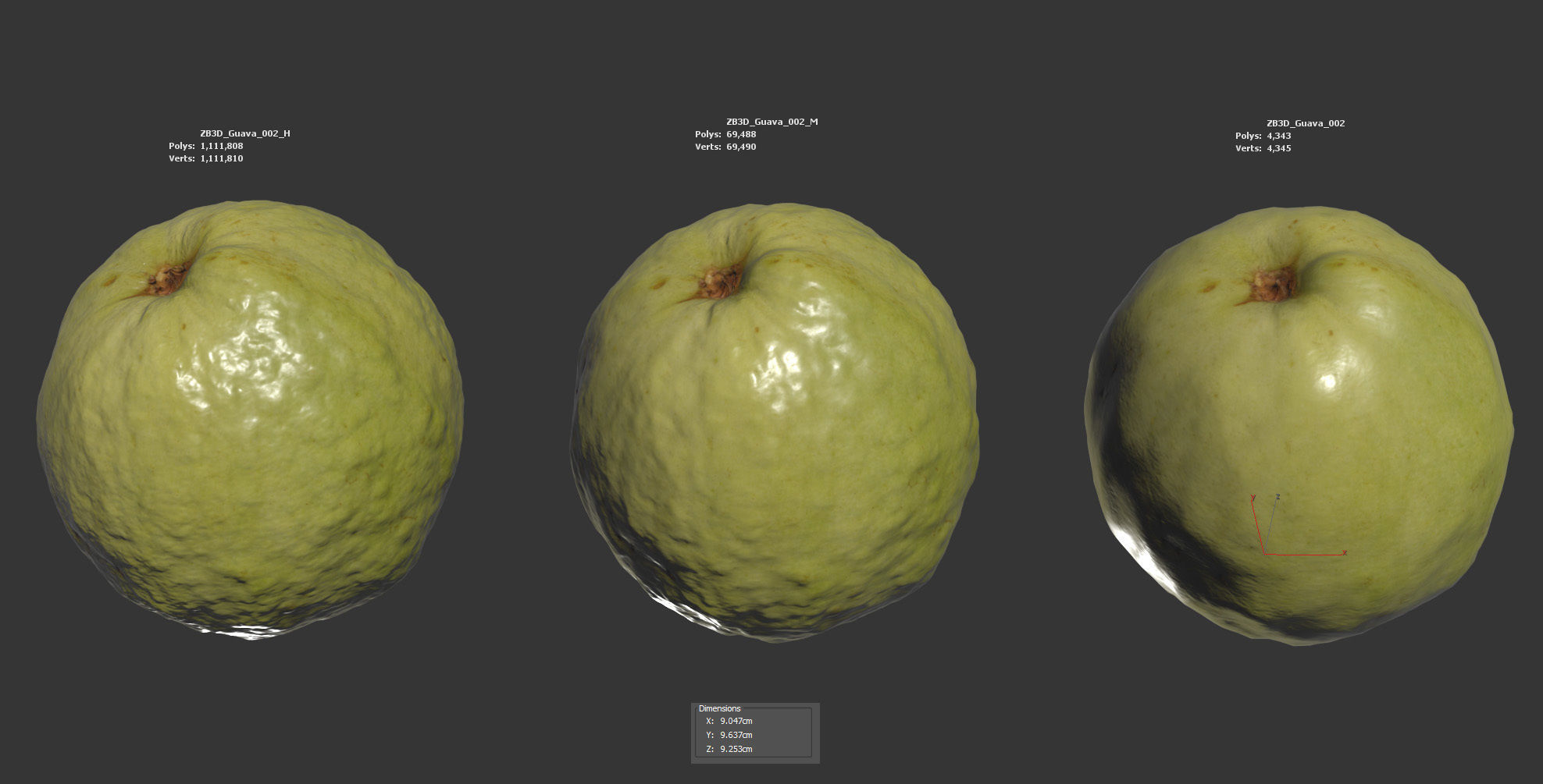 Guava 3D model_5