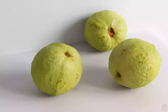 Guava 3D model