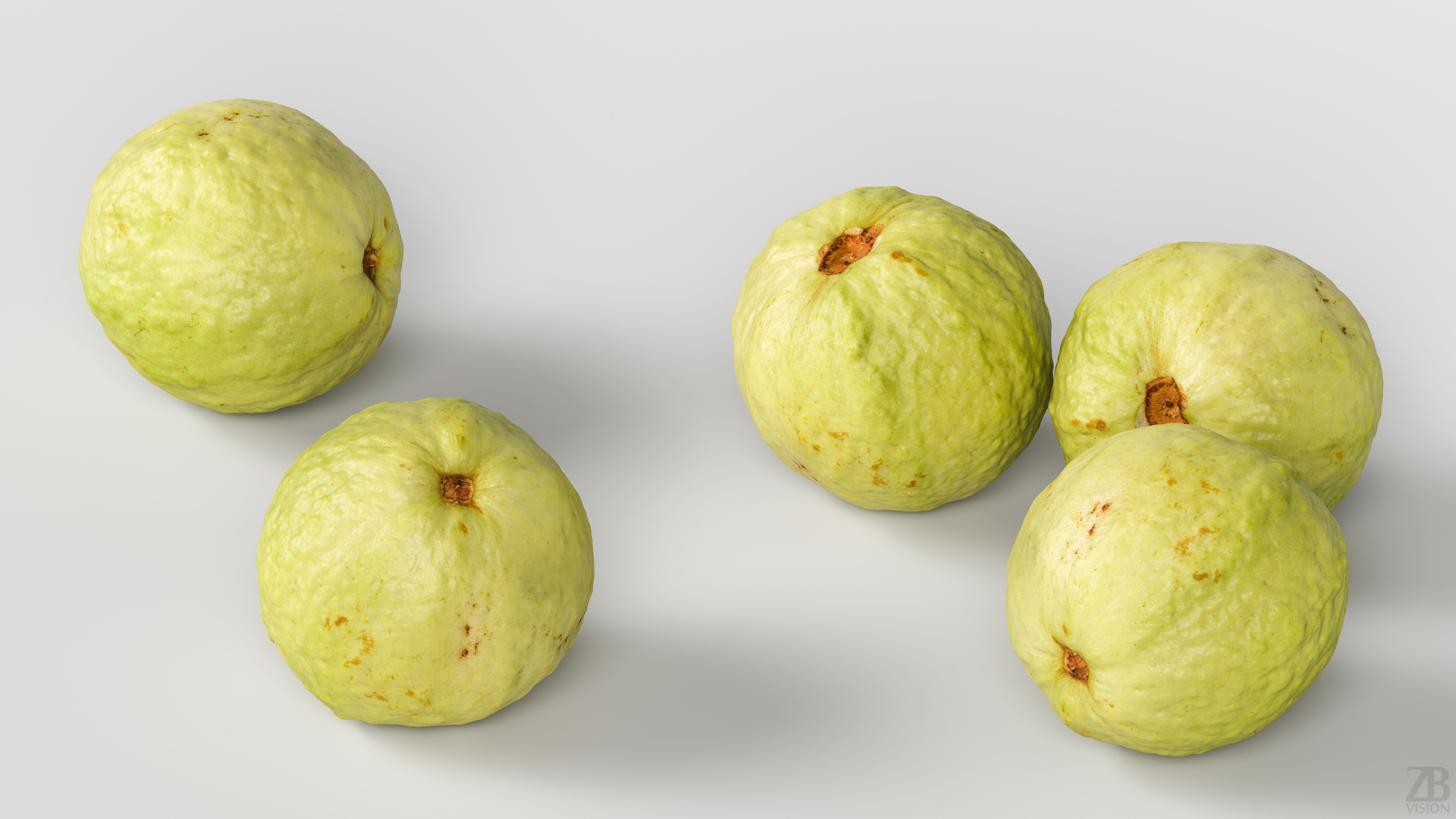 Guava 3D model_2