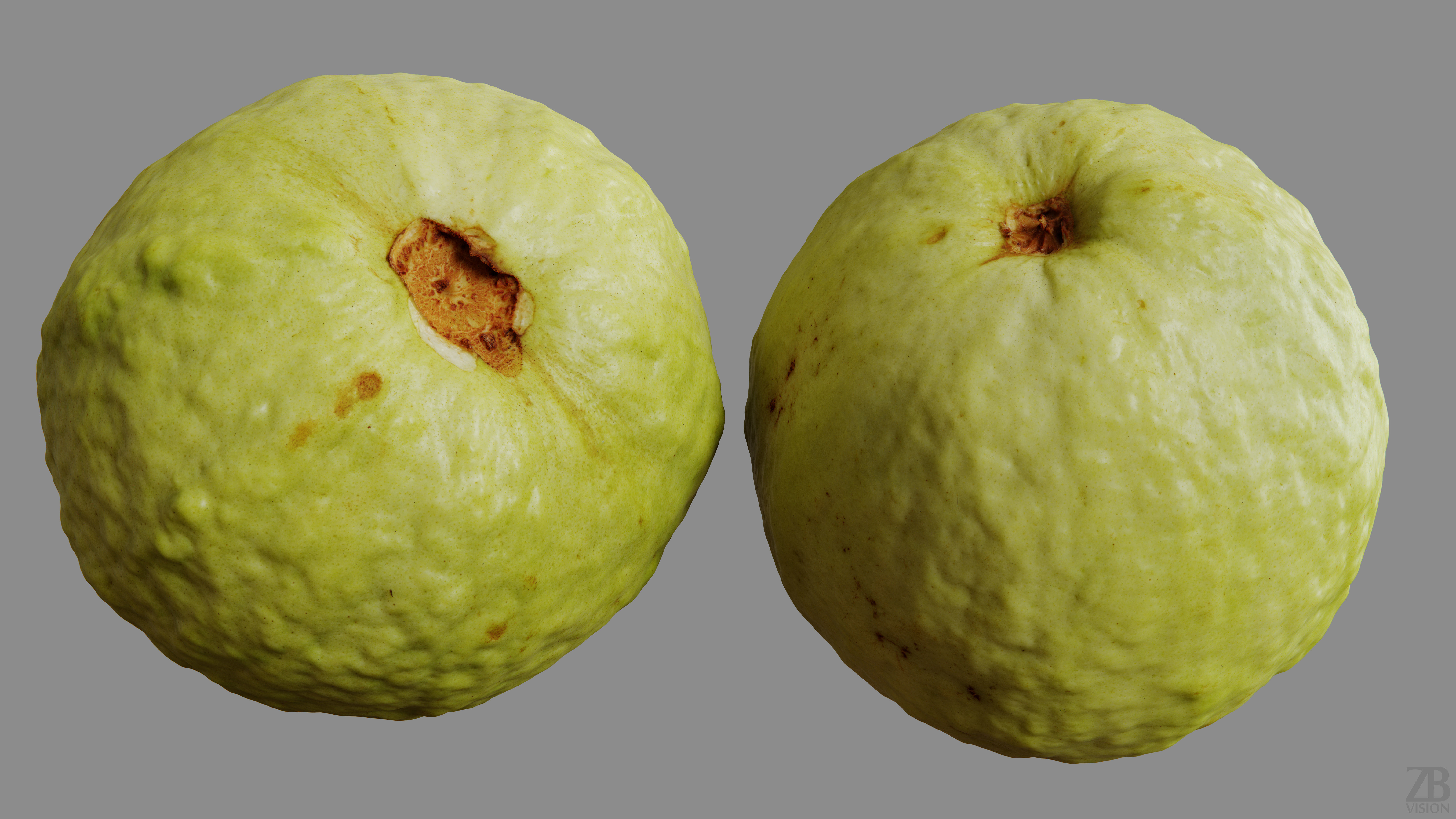 Guava 3D model_9