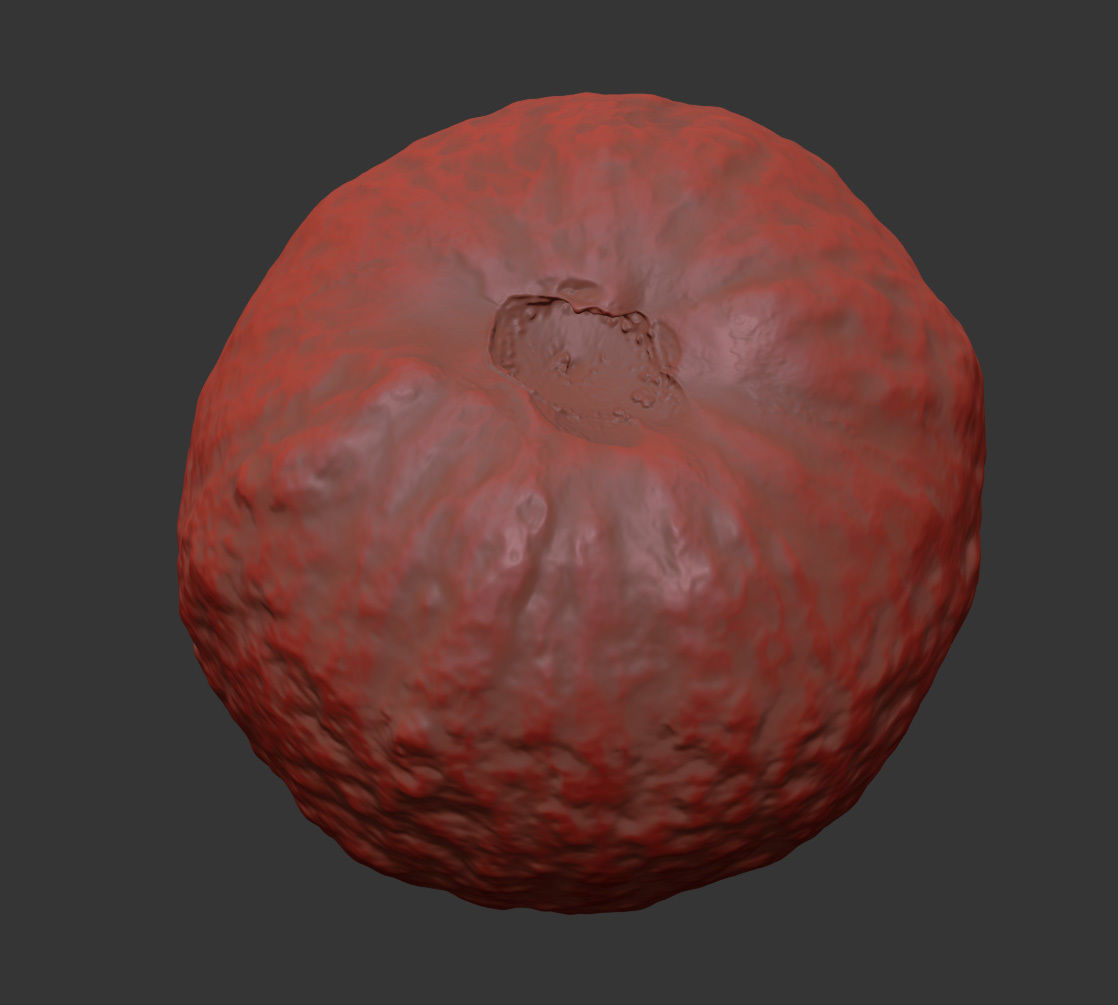 Guava 3D model_7