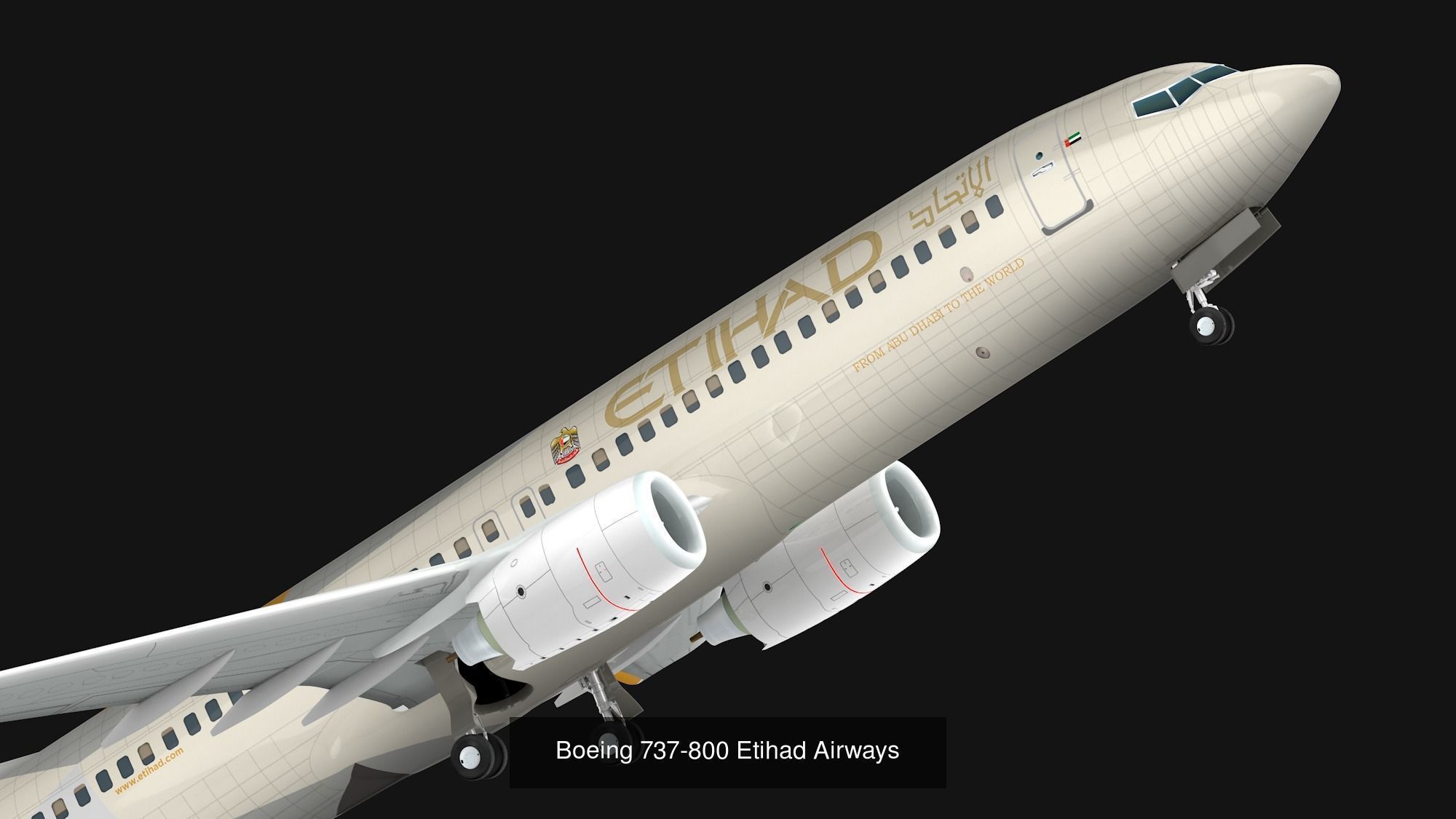 Pack 737-800 liverys 3D Model Collection_16