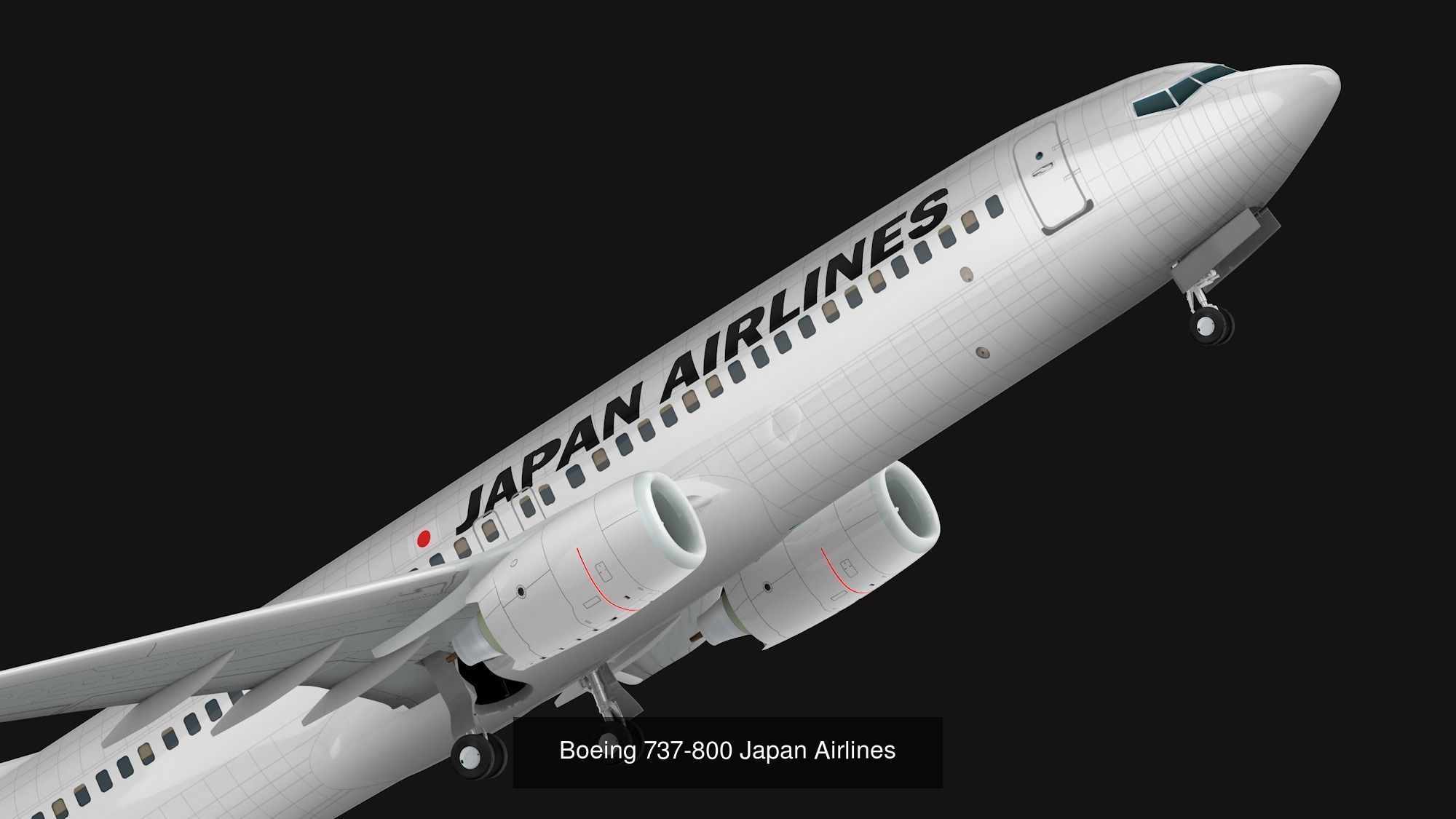 Pack 737-800 liverys 3D Model Collection_5