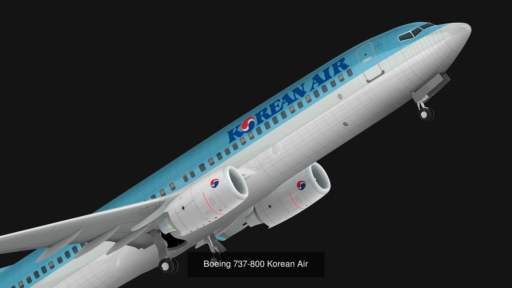 Pack 737-800 liverys 3D Model Collection_6