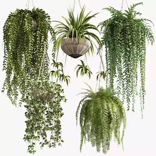 Rattan Plants Hangers 3D model