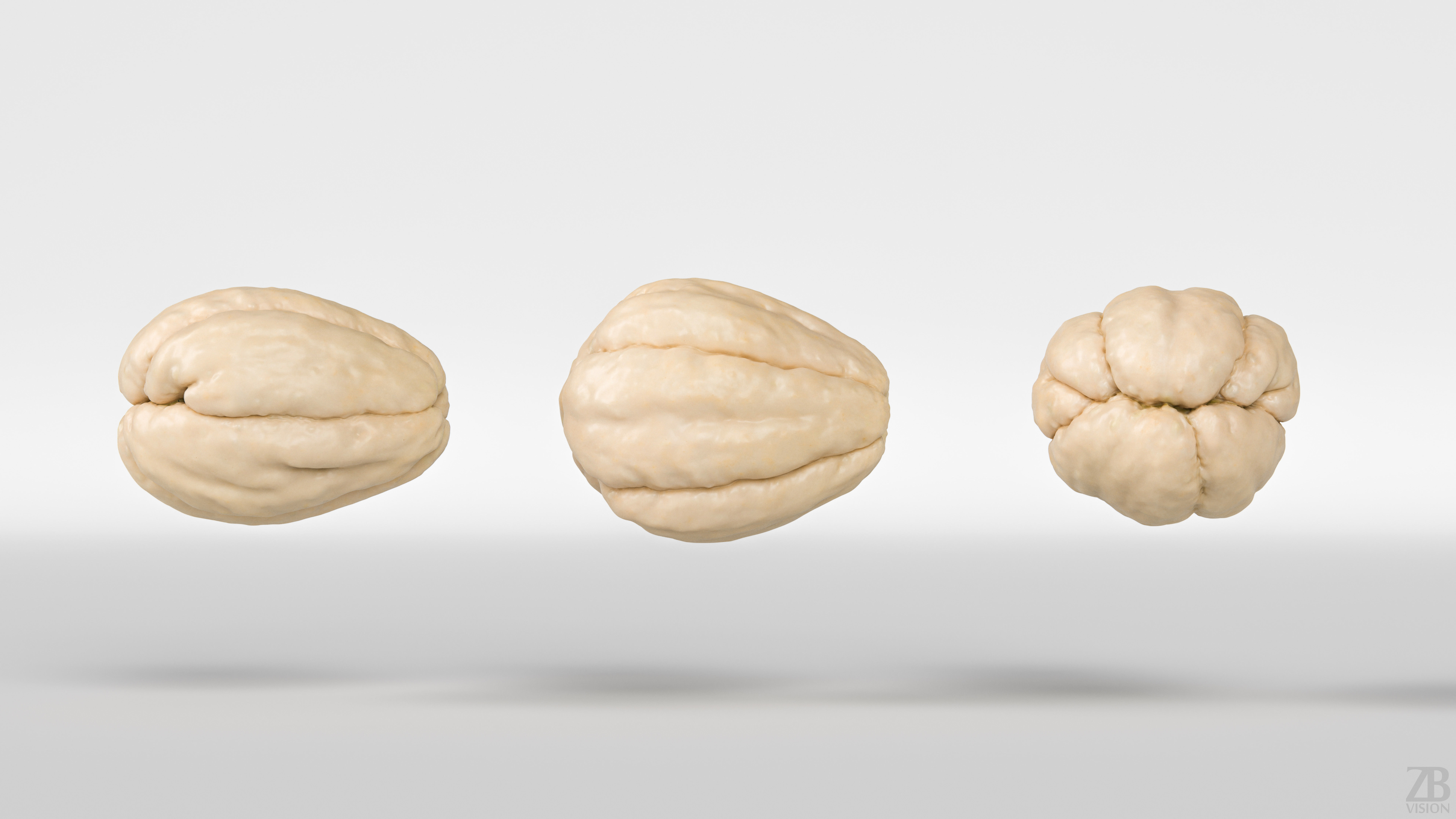 Chayote 3D model_4