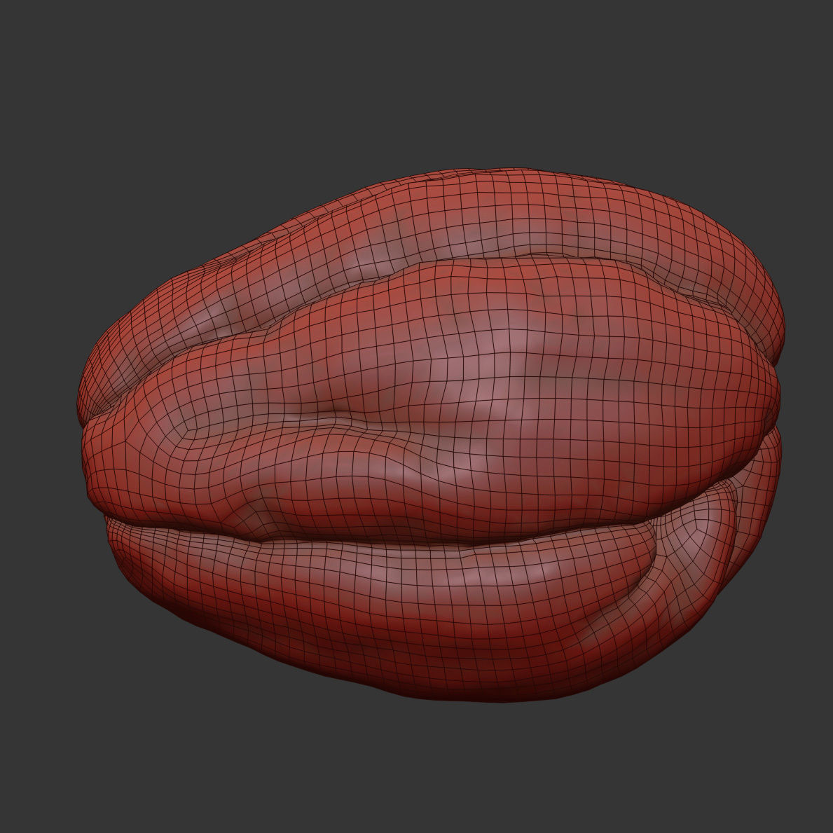 Chayote 3D model_6