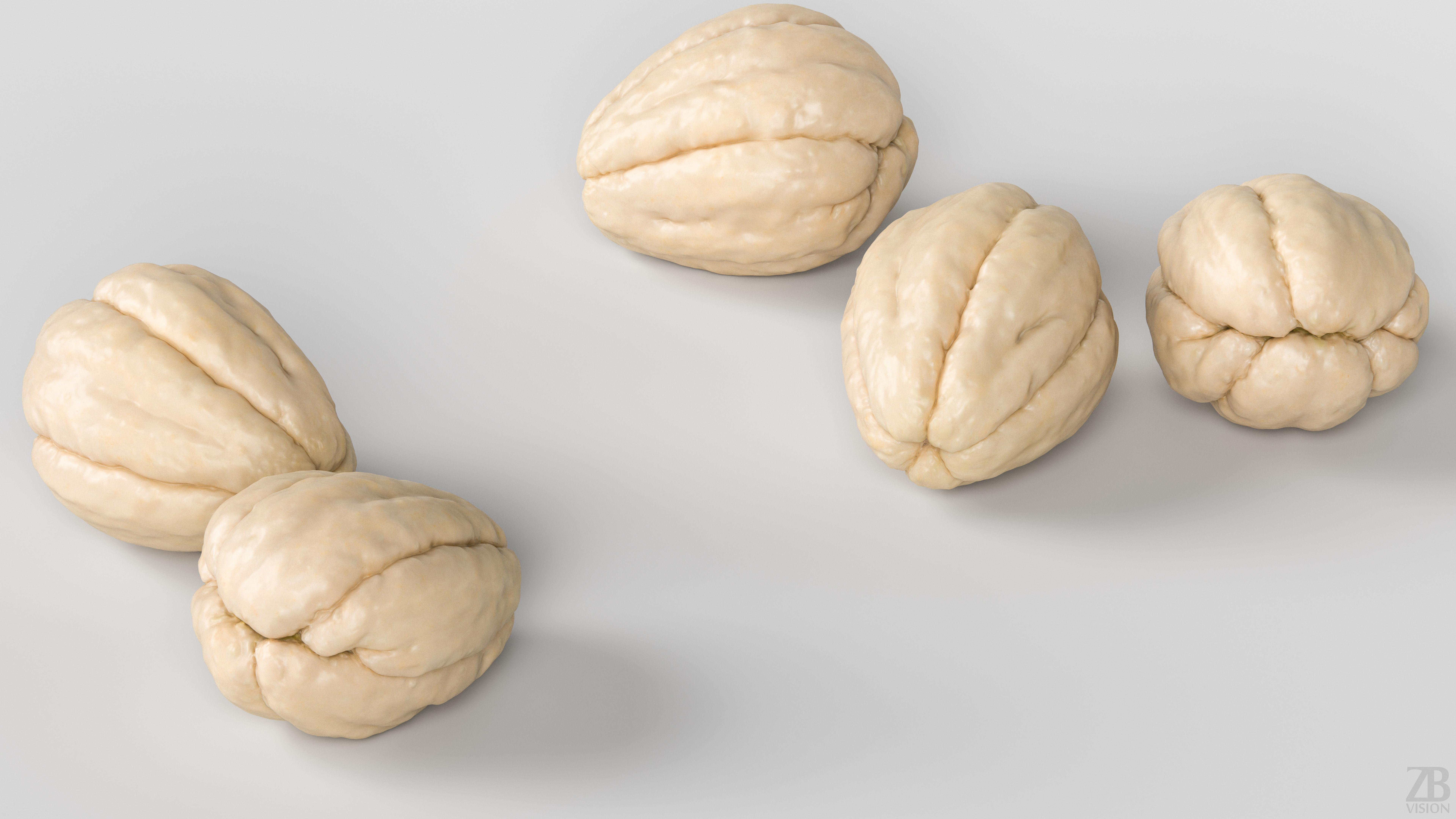 Chayote 3D model_2