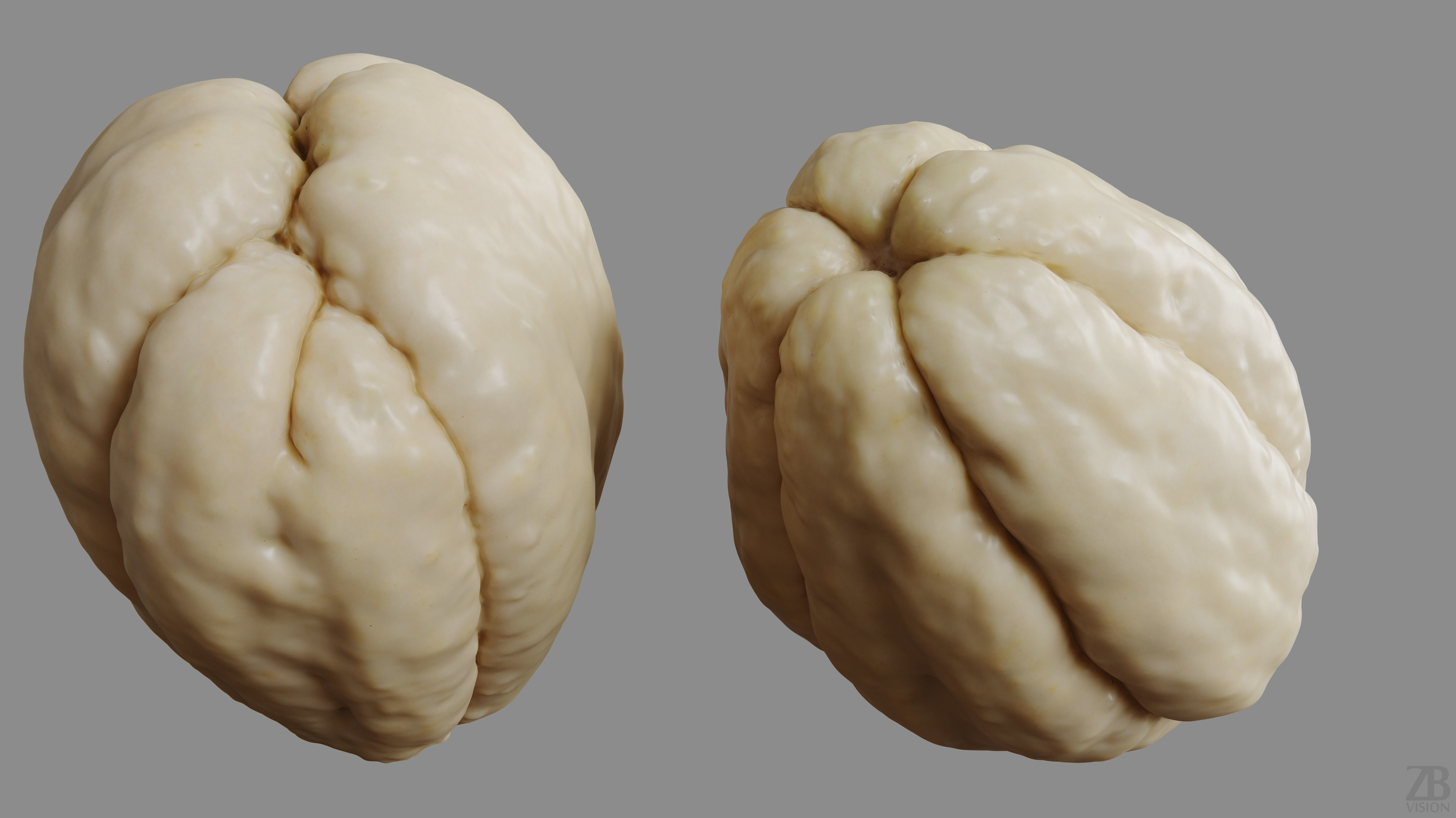 Chayote 3D model_9