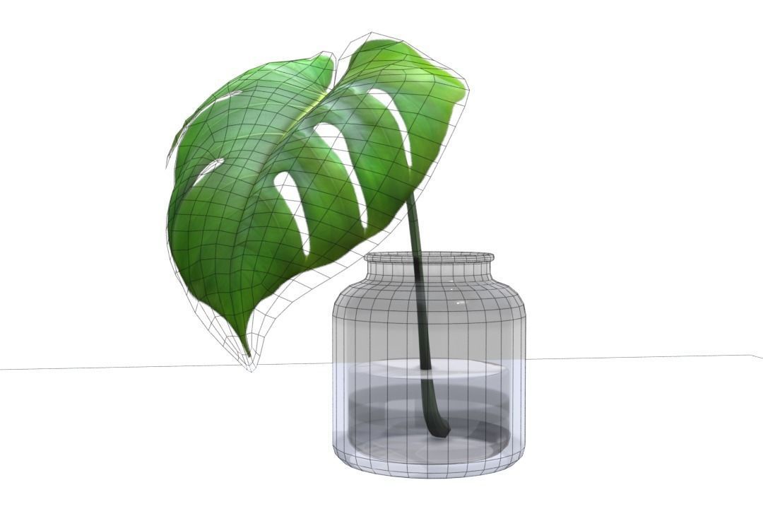 Monstera B03 Low-poly 3D model_5