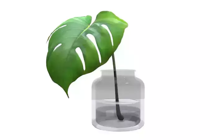 Monstera B03 Low-poly 3D model