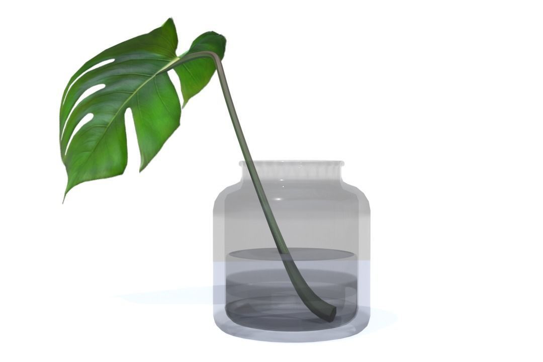 Monstera B03 Low-poly 3D model_4