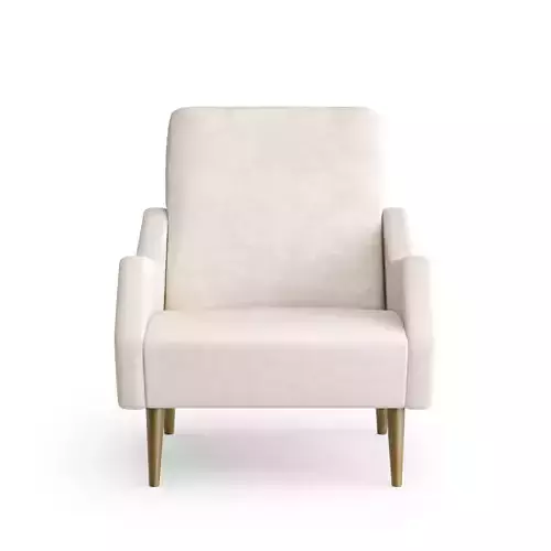 Gio Ponti Rage Lounge Chair