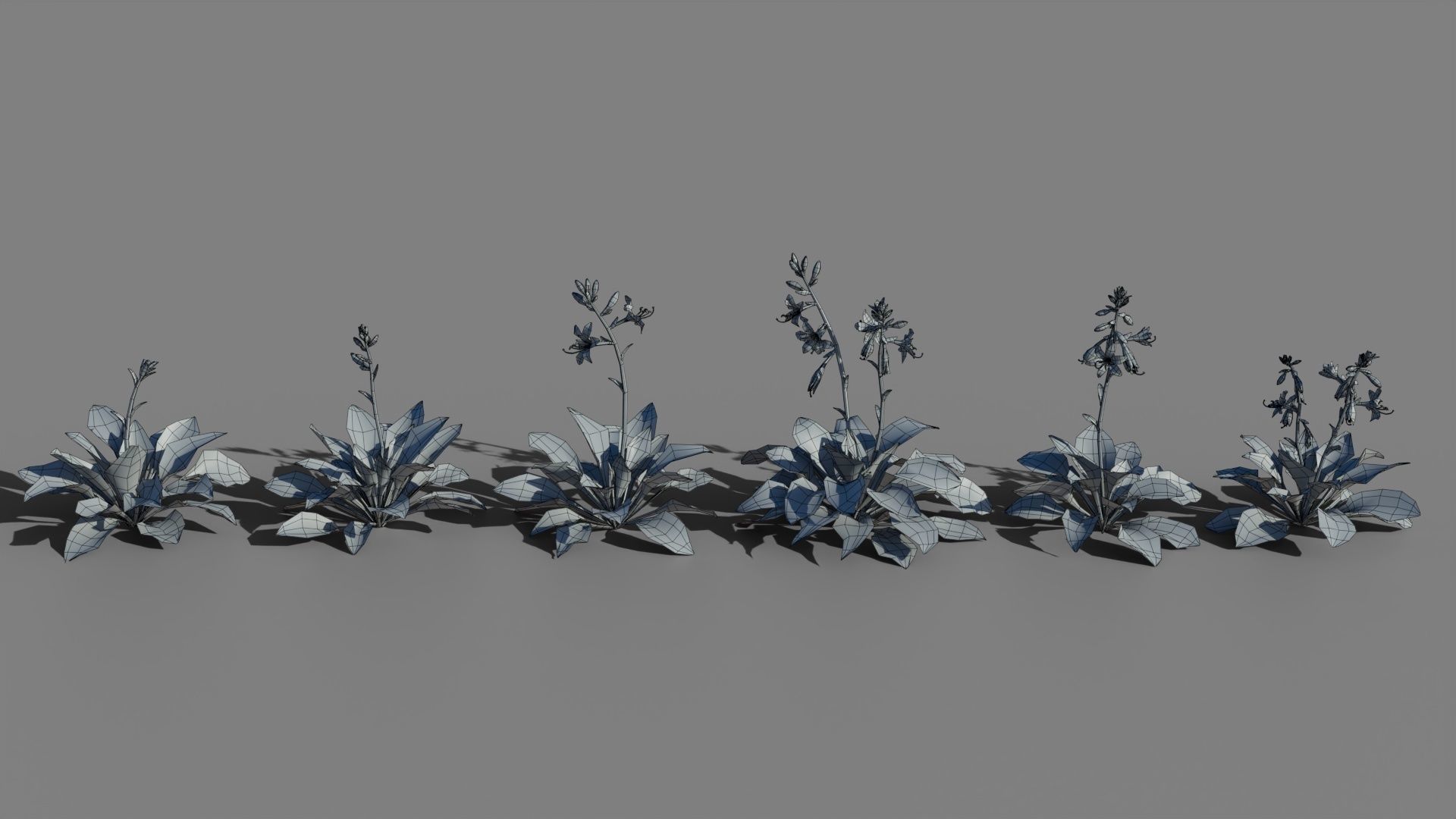 Hosta VFX Grace Low-poly 3D model_7