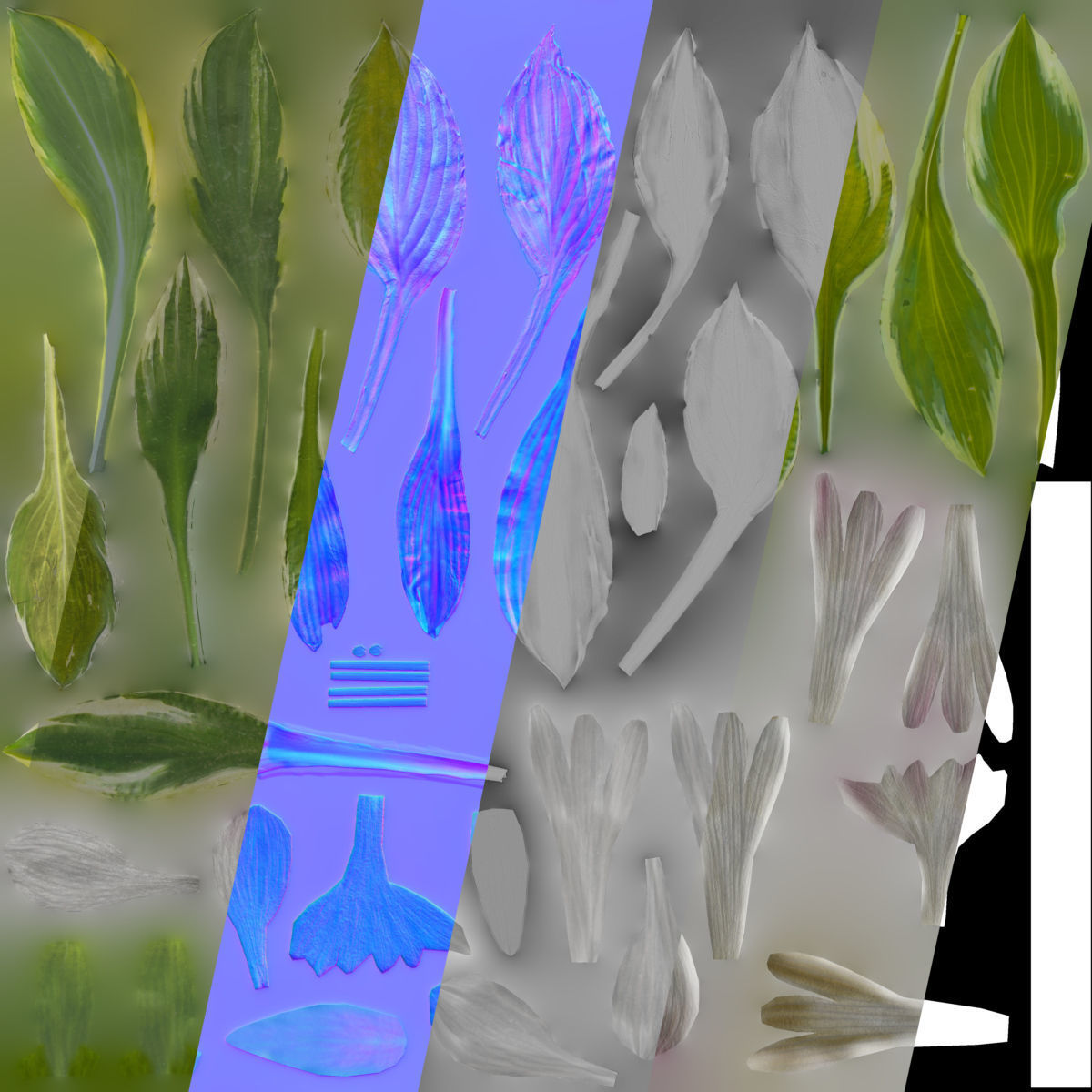 Hosta VFX Grace Low-poly 3D model_14