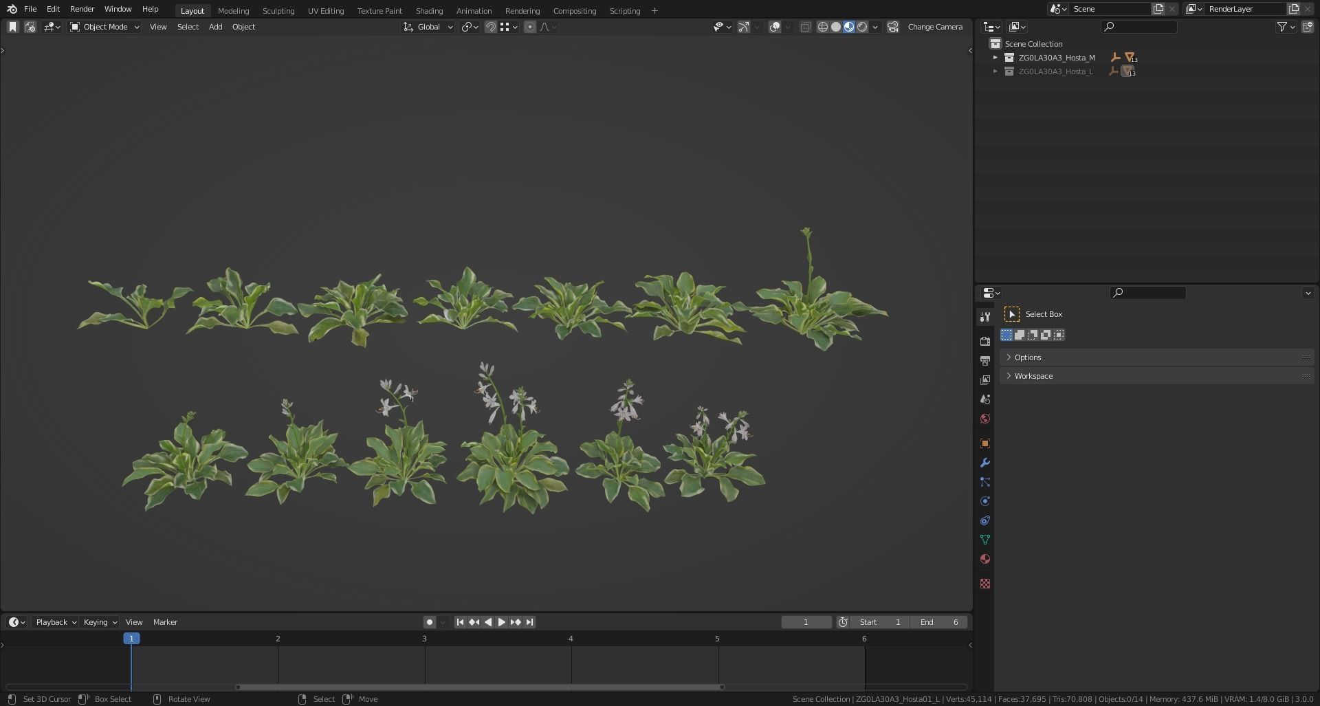 Hosta VFX Grace Low-poly 3D model_12