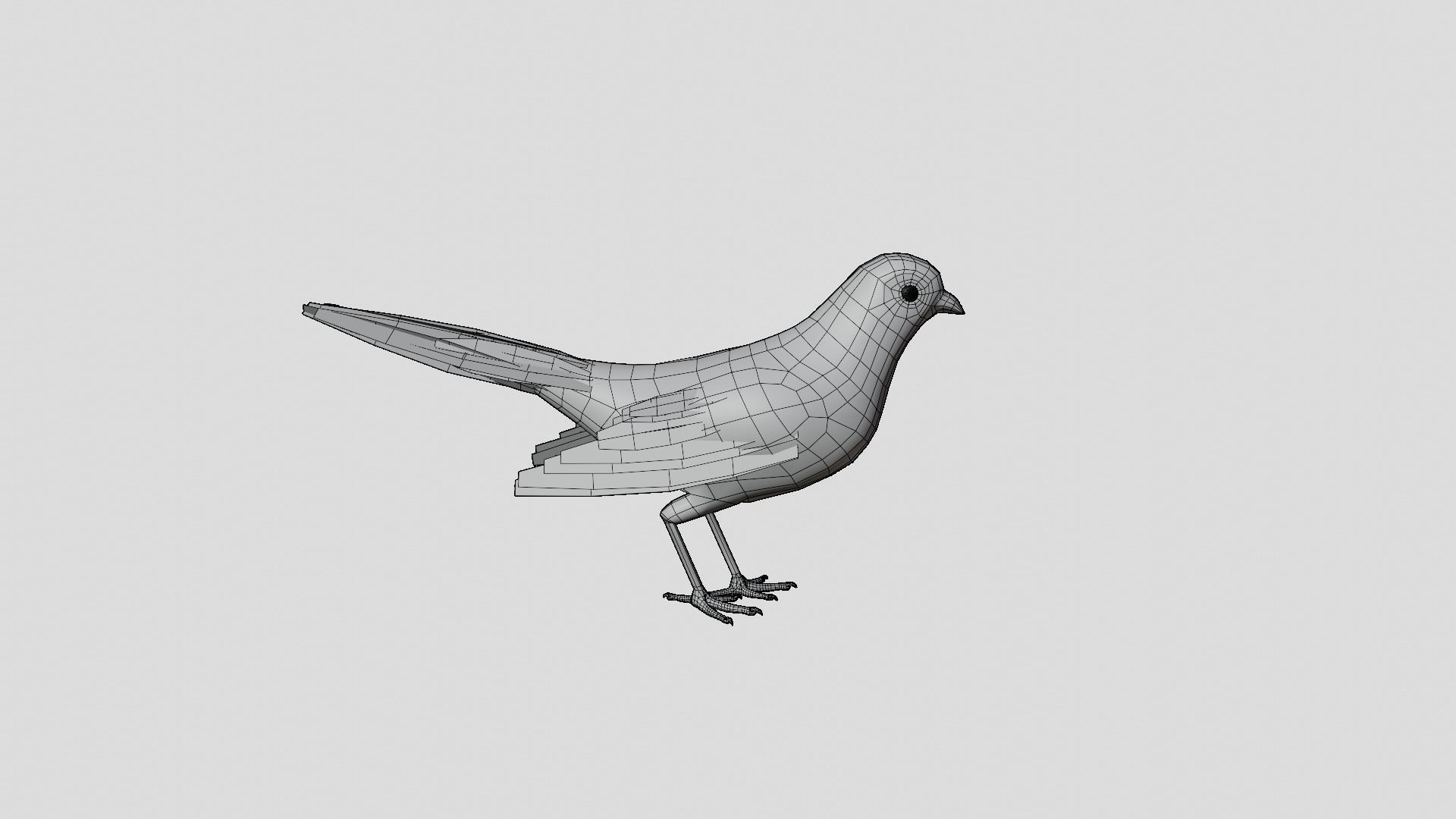BLACK BIRD RIGGED 3D model_12